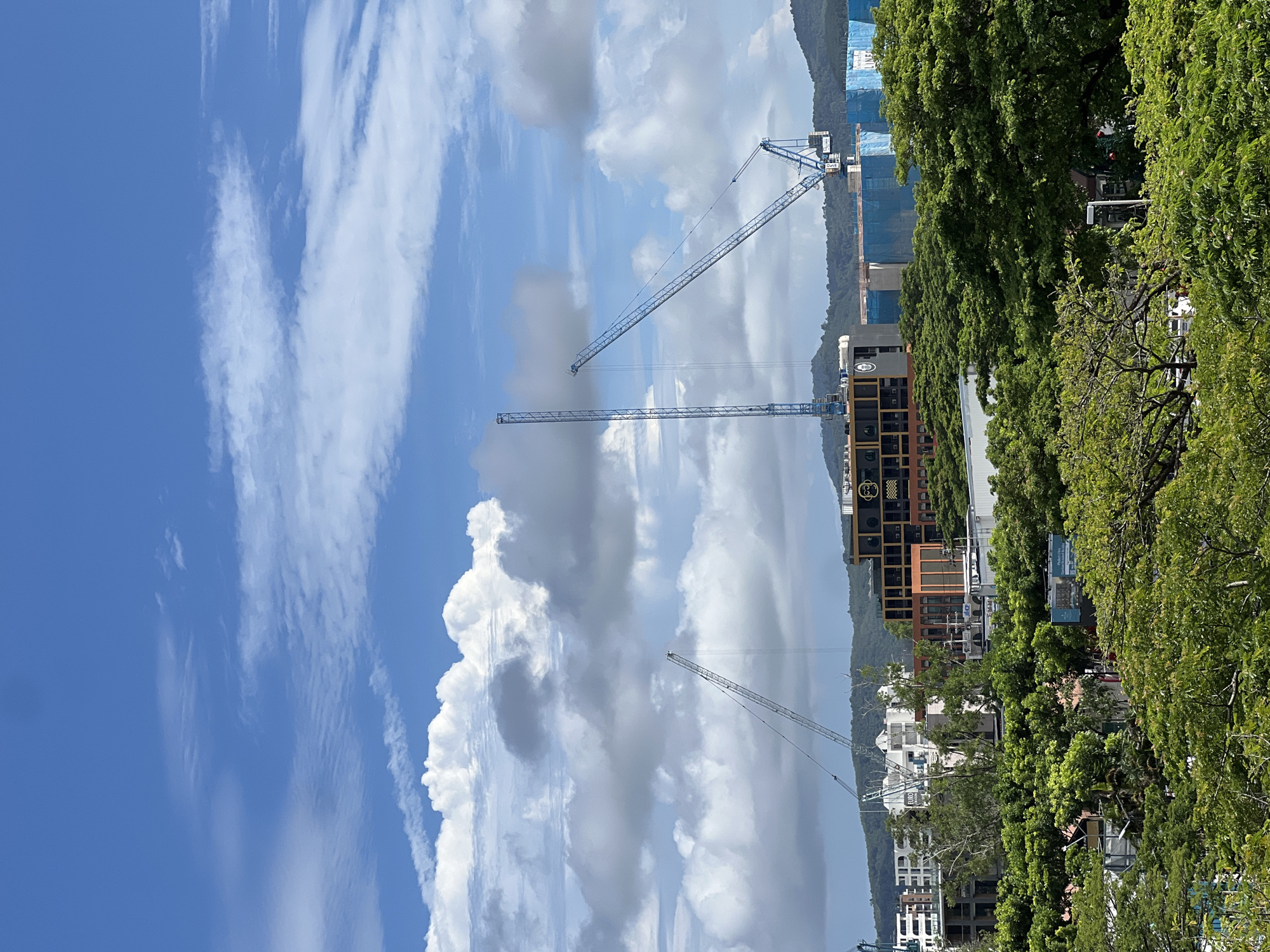The image depicts an urban landscape under a partly cloudy sky. Dominating the scene are three construction cranes, two of which are blue and one is gray. The blue cranes are positioned prominently in the mid-ground, with one standing tall and straight and the other angled with its boom extended. The gray crane is located further to the left, also angled.
In the mid-ground, a multi-story building with a dark façade and orange accents is visible, featuring a prominent logo with a monkey silhouette. Surrounding this building are other structures under construction, some covered in blue tarps. In the foreground and extending into the mid-ground are lush green trees, providing a natural contrast to the urban development. In the background, rolling hills are visible, suggesting the city is situated near a natural landscape. The sky is a vibrant blue with scattered white cumulus clouds, some of which are large and puffy. The overall impression is one of ongoing development within a green, hilly environment.