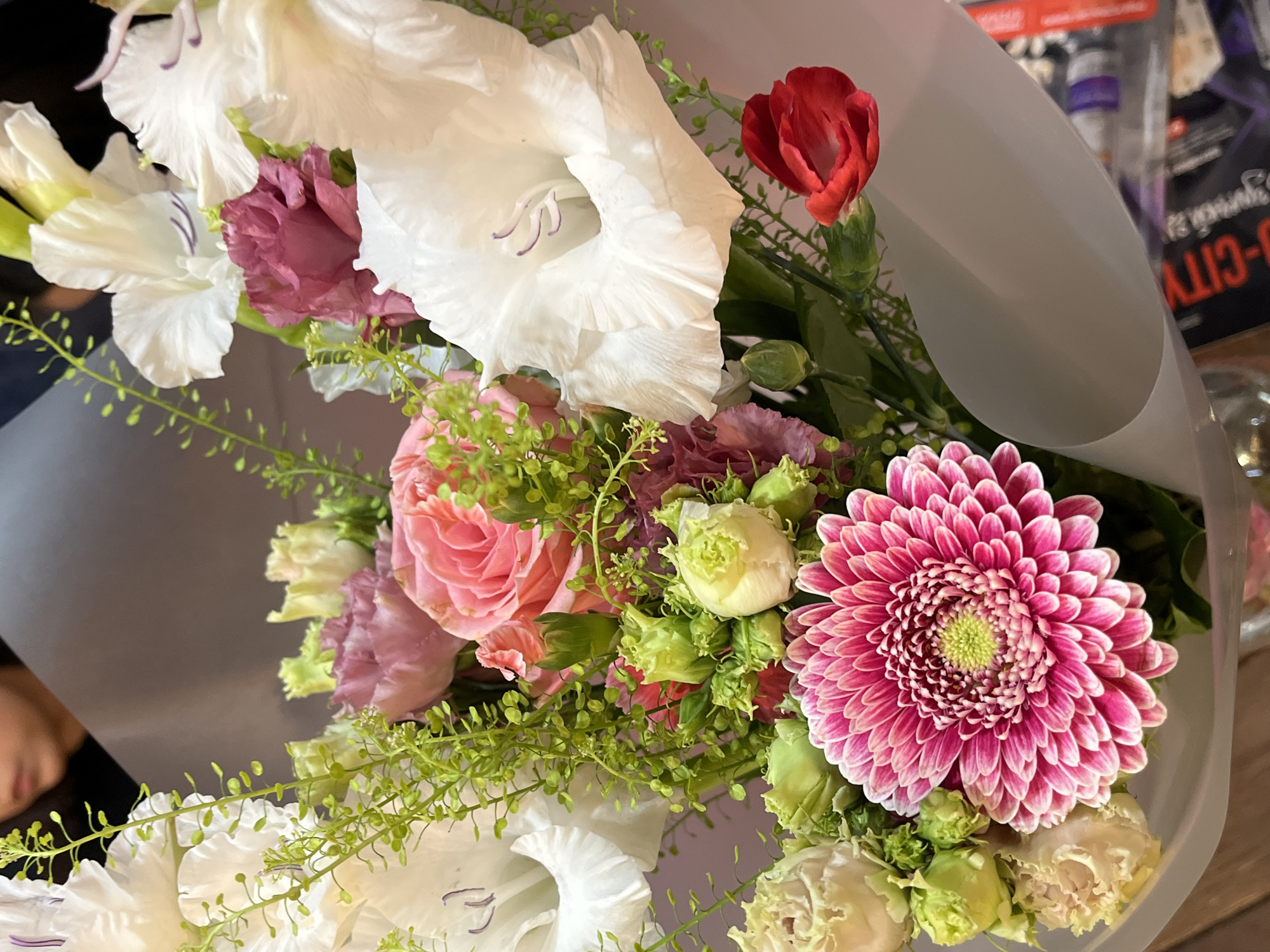 A vibrant flower bouquet is presented in a close-up, slightly overhead shot. The arrangement features a variety of blooms and foliage, wrapped in a translucent, light grey material.
Key subjects include several large white gladiolus flowers, some with delicate purple markings inside their petals. Among them are numerous pink and purplish-pink flowers, including a prominent pink rose and several frilly-petaled Eustoma (Lisianthus). A striking pink and white gerbera daisy with a lime green center dominates the lower right portion of the image. A single red carnation bud is visible near the top right, adding a contrasting pop of color. Green filler foliage and small, light green flower buds are interspersed throughout the bouquet, providing texture and freshness.
The activity depicted is the presentation or display of this fresh flower bouquet. The composition suggests it is either being admired, held, or resting on a surface. A small portion of a person's ear and hair is faintly visible in the bottom left background, indicating human interaction with the bouquet.
Notable details include the crisp petals of the white gladiolus and the intricate layering of the gerbera daisy. The translucent wrapping creates a soft, diffused look. In the blurry background, behind the bouquet's wrapping, fragmented text is visible, including the word "CITY" in block letters, likely part of a store sign or product packaging. The lighting is soft, suggesting an indoor setting without harsh direct sunlight. The colors are predominantly pastel pinks, purples, and whites, accented by rich green foliage and the single red bloom.