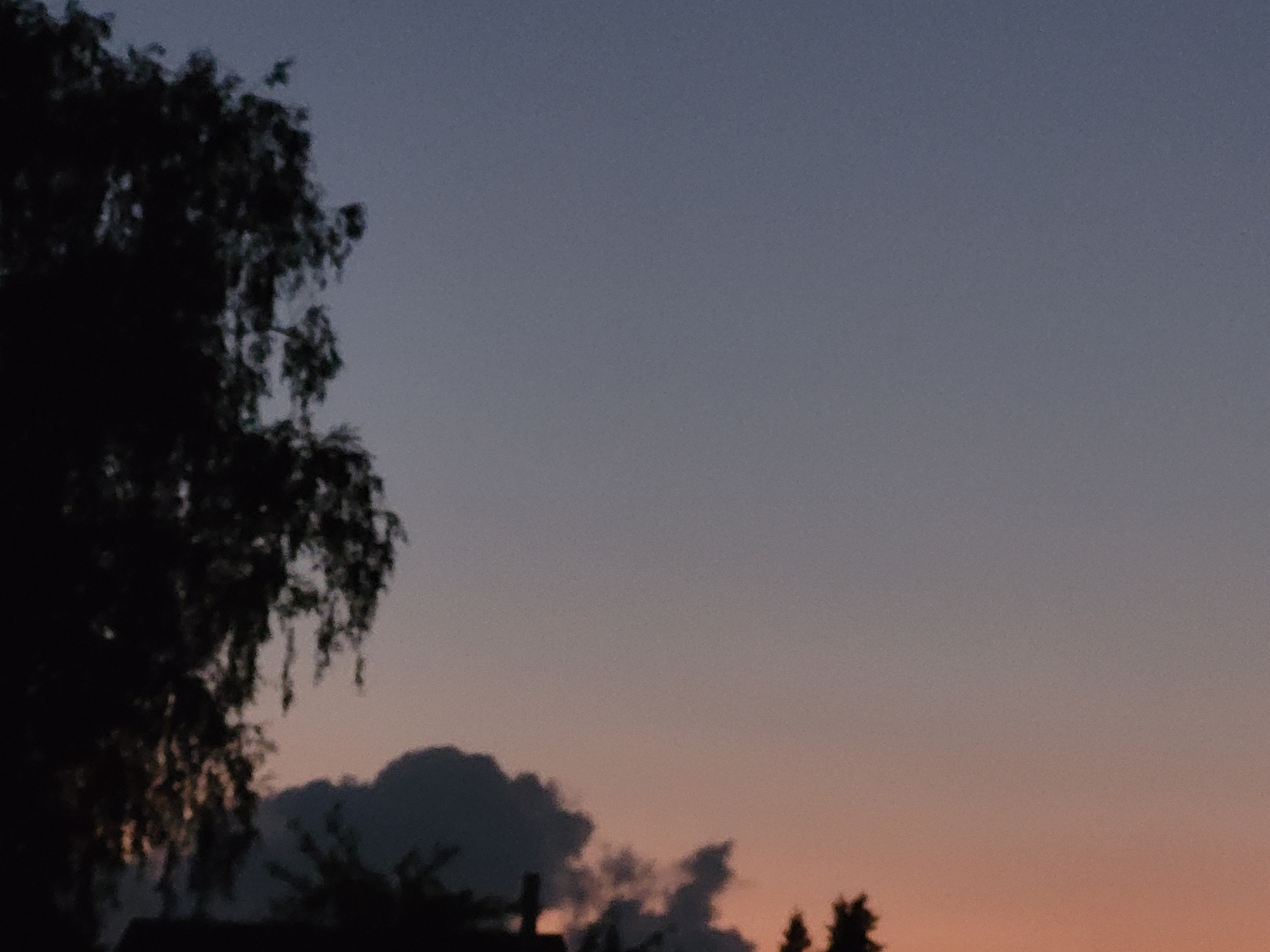 The image captures a dusky sky with subtle gradients of blue and pink, indicative of twilight or dawn. In the foreground, the silhouetted branches of a large tree dominate the left side of the frame, its foliage appearing dense and dark against the lighter sky. To the right and lower portion of the image, the dark silhouettes of more distant trees and possibly some man-made structures are visible against a soft orange and pink horizon. A small, dark, cloud-like formation is present in the lower central part of the image, just above the silhouetted structures. The overall impression is a tranquil, natural landscape at the edge of a settlement. The specific location in Ozolnieki, Latvia is not discernible from the visual content of the image alone.
