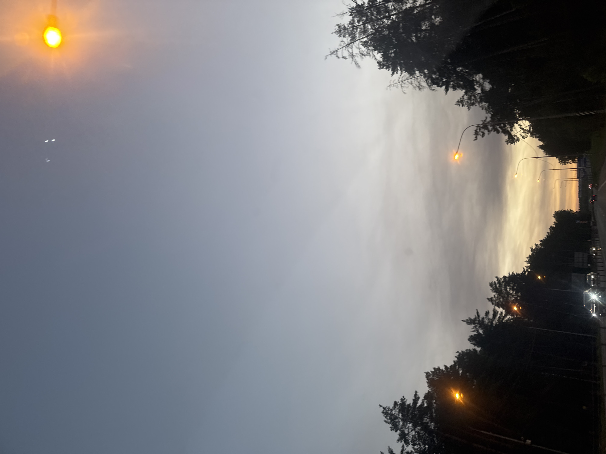 The image shows a road at dusk, lined with dark trees on both sides. Several streetlights illuminate the scene with an orange glow. Cars are visible on the road, with their headlights on. The sky is a gradient of grey and pale orange, with some clouds. The location is identified as Mstikhino, Russia.