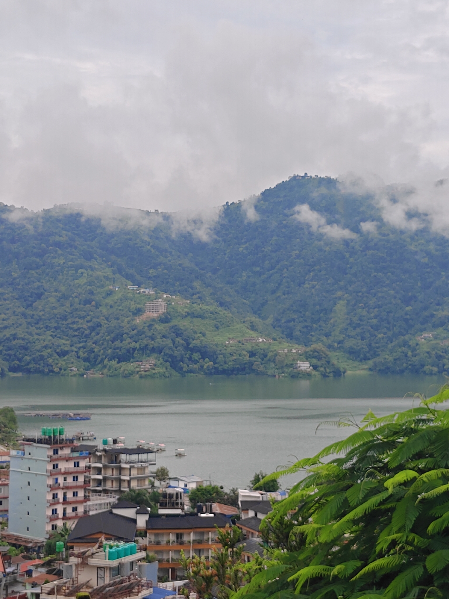 This image shows a scenic view of Phewa Lake in Pokhara, Nepal, on a cloudy day. In the foreground, lush green foliage of a tree partially obscures the view. Below the foliage, a densely packed urban area with multi-story buildings, some with flat roofs and balconies, is visible. The buildings are a mix of colors, including white, blue, and orange. Several of these buildings have water tanks on their roofs. Further back, the calm, greenish-blue waters of Phewa Lake stretch towards the horizon. On the lake, there are some small boats and structures that appear to be floating platforms. Dominating the background is a large, verdant mountain range covered in trees. The peaks of the mountains are partially shrouded in mist and low-hanging clouds, creating a dramatic and serene atmosphere. The overall impression is one of natural beauty juxtaposed with urban development.
