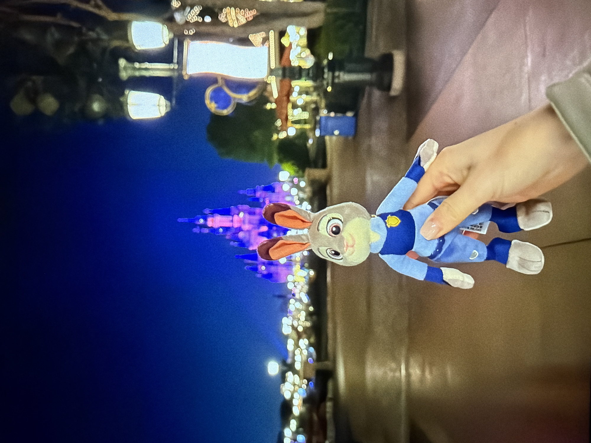 A hand holds a stuffed animal of Judy Hopps in front of a castle at night. The location is likely a Disney theme park. Streetlights and the castle are illuminated with many lights. The photo has been rotated so the castle is on its side.