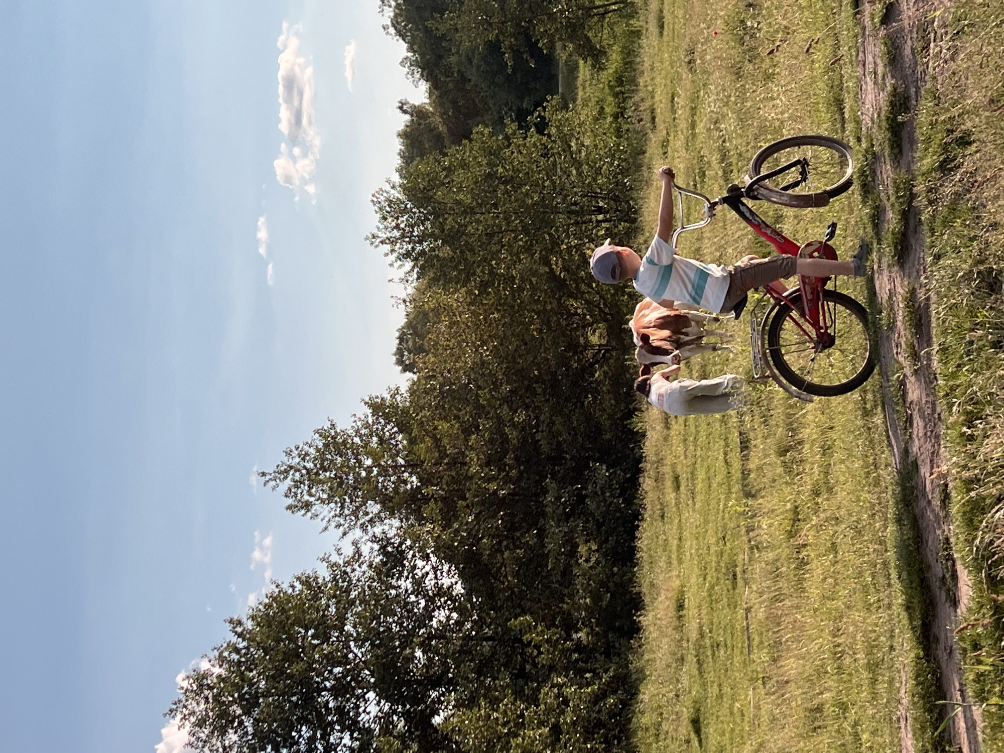 In Vertelka, Ukraine, a young boy wearing a blue and white striped t-shirt and a grey baseball cap rides a red bicycle on a dirt path. He is positioned in the foreground, facing right. In the middle ground, two cows, one brown and white and another mostly brown, graze in a grassy field. Behind the field, a dense line of green trees forms a backdrop under a light blue sky with scattered white clouds. The scene is illuminated by natural daylight, casting shadows on the ground.