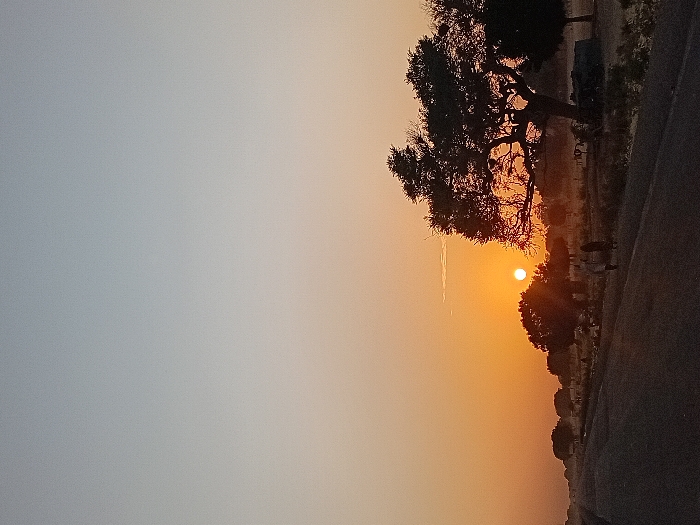 An image depicts a vibrant sunset. An orange glow dominates the horizon, partially obscuring the sun. Silhouette of a large tree frames the sunset on the right. Next to the tree is a road, casting a dark shadow. The sky transitions from orange near the sun to a lighter, grayer hue on the left.