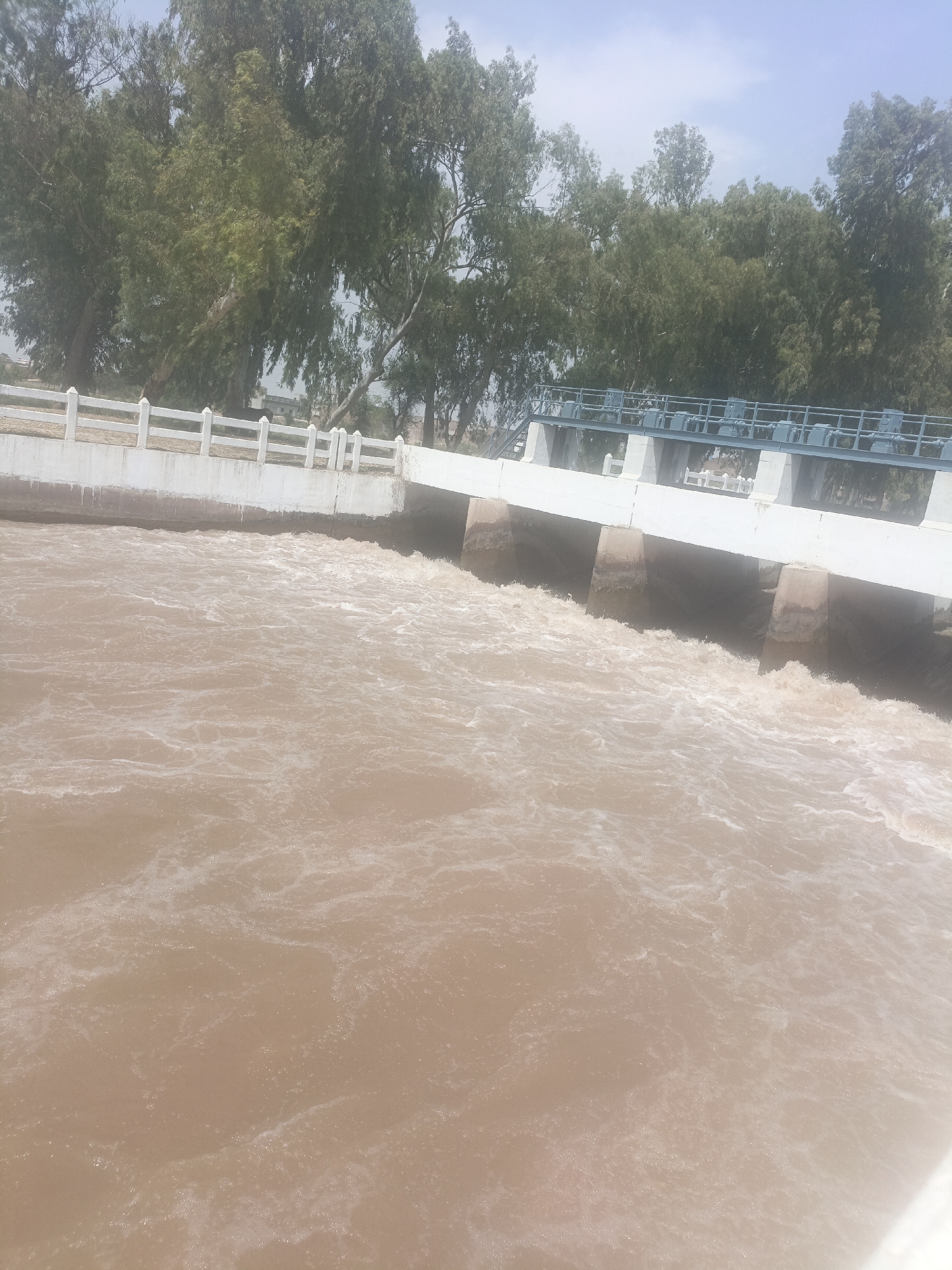 The image captures a functional water management structure, likely a weir or a small dam, on a canal or river in Karamsar, Pakistan. The foreground is dominated by a large body of turbulent, muddy brown water, which flows rapidly under a concrete and metal structure. The water is agitated, showing white foamy crests and swirls, indicating a strong current passing through sluice gates.
The weir itself features multiple concrete pillars supporting a white horizontal platform, above which a series of blue metal sluice gates or regulatory mechanisms are visible. On the left bank of the canal, a white concrete wall topped with a white railing runs parallel to the water.
Beyond the water and the structures, lush, dense green trees with varied foliage populate the background, lining both sides of the waterway. The sky above is bright and clear, with a slight haze, suggesting daytime conditions, likely morning or afternoon. No people or visible text are present in the image. The scene depicts an active water flow system set within a verdant, outdoor environment.