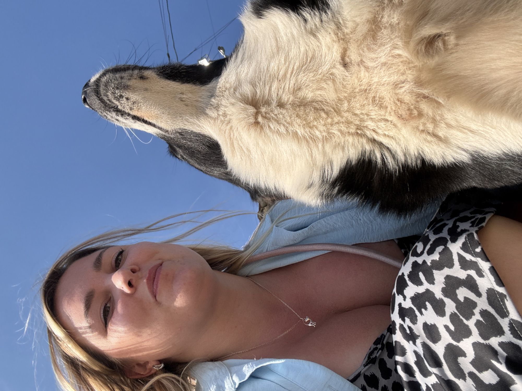 A low-angle, outdoor, close-up selfie shows a young woman and a dog against a bright blue sky. The woman is on the left, and her head and upper body are visible. She has blonde hair with highlights, and she is looking towards the camera with a slight smile. She is wearing a light blue collared shirt over a patterned dress. A delicate silver necklace with a small pendant is visible around her neck. The dog, which appears to be a medium-sized breed with black and white fur, is on the right side of the frame, and its head and chest are prominently featured. The dog is looking upwards, away from the camera, with its mouth slightly open. The scene is set outdoors, with power lines visible in the background against the sky. The location is stated to be Noviy, Russia.