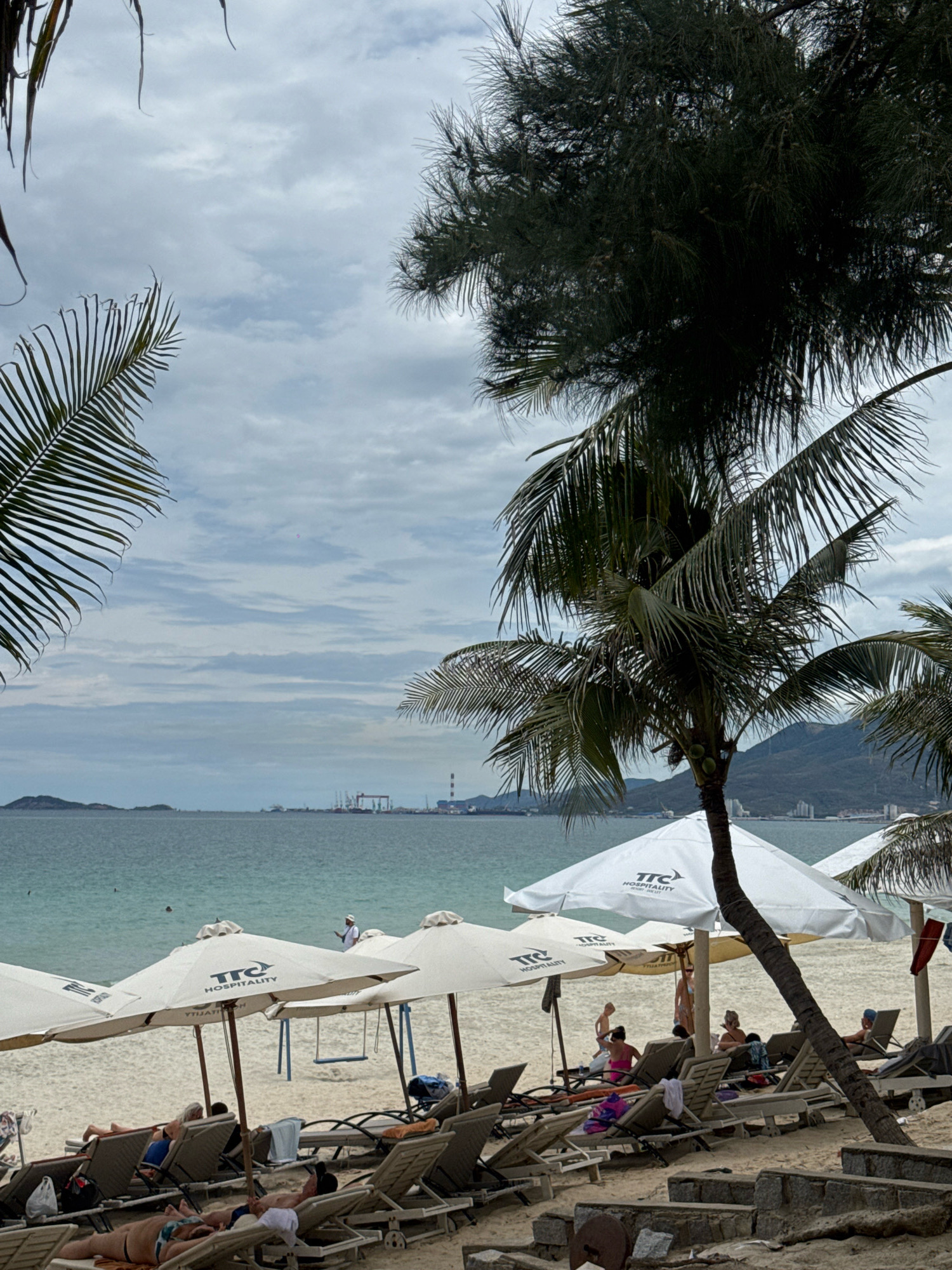 The image depicts a beach scene in Dong Ninh Hoa, Vietnam, on a cloudy day. In the foreground, numerous empty lounge chairs are arranged on the sand, some covered by white umbrellas displaying the logo "TTC HOSPITALITY". A few people are seated in the chairs, some appearing to be relaxing or sunbathing. Further back, the turquoise sea stretches towards the horizon, with a distant shoreline featuring a port and industrial structures. Palm trees frame the scene, with their fronds partially obscuring the sky. A swingset is visible behind some of the umbrellas. The overall atmosphere is one of leisure and relaxation.