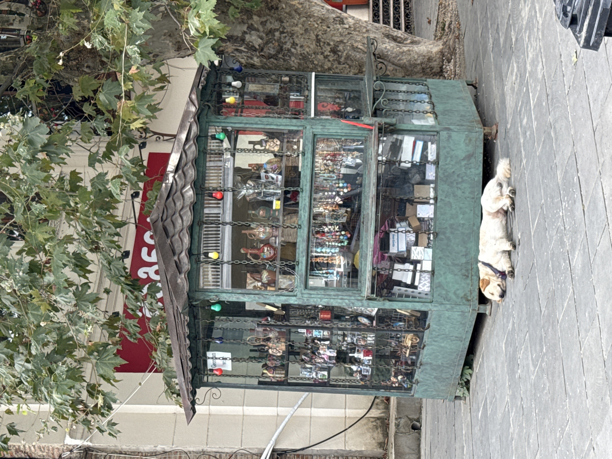 A light-colored dog sleeps peacefully on a cobblestone sidewalk in front of a green, open-air souvenir kiosk in Sighnaghi, Georgia. The kiosk is filled with various items, including bottles, decorative jars, jewelry, and small trinkets displayed on shelves and hanging from chains. Colorful bulbs are strung along the top of the kiosk. The scene is framed by the branches of a large tree with green leaves overhead and a building with a red sign visible in the background.