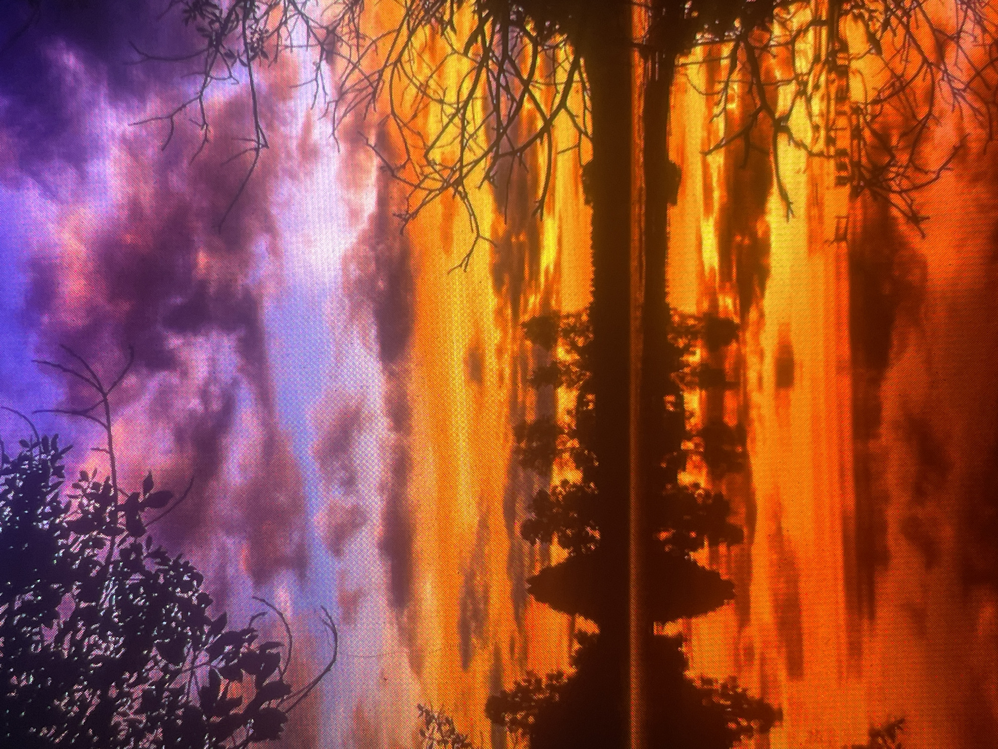 The image displays a highly saturated natural landscape at either sunrise or sunset, situated in Zelenyi Hai, Ukraine. The sky, occupying the upper portion, transitions dramatically from deep purples and fuchsias in the zenith to intense oranges and reds towards the horizon. Scattered dark clouds are visible against the vibrant backdrop. Silhouetted dark foliage with discernible leaves and branches extends into the frame from the upper left, while bare, intricate tree branches are visible on the right, also in silhouette. A dense line of trees forms a dark, undulating horizon along the far bank of a calm body of water, which occupies the lower half of the image. The water's surface provides a near-perfect reflection of the fiery orange and red sky and the silhouetted trees. No individuals, specific man-made objects, or actions are depicted. A prominent and consistent grid-like pattern or halftone effect is visible across the entire image, indicating the image is likely a photograph of a digital screen or a result of specific digital processing.