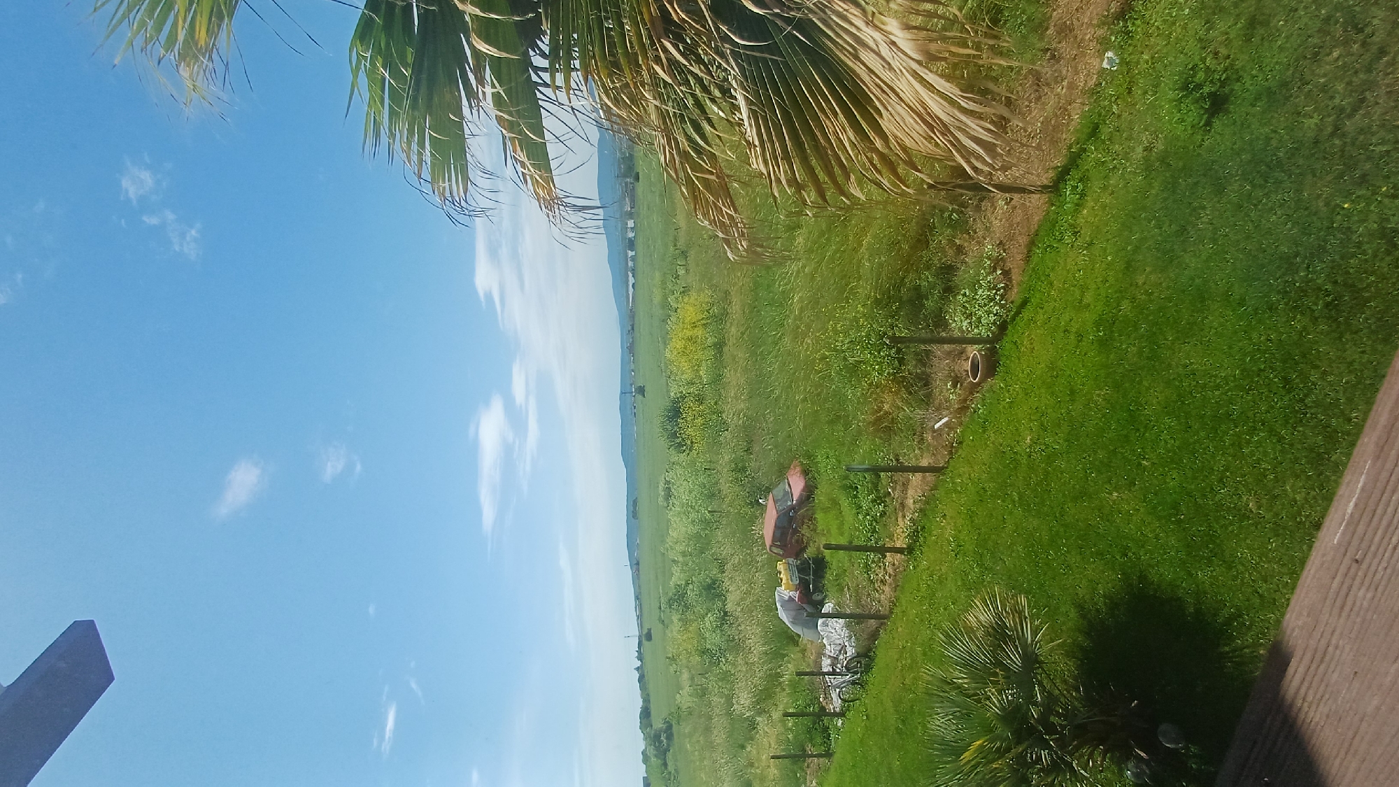 The image depicts a landscape with a clear blue sky, partially obscured by palm trees in the upper part of the frame. Below, there is a vast expanse of green field, possibly located near Chernomorets, Bulgaria. Within the field, there are patches of yellow flowers. A group of objects, including what appears to be a red vehicle or machinery, is visible in the lower portion of the field, closer to the viewer's perspective. A person is seen near these objects, engaged in an unidentifiable action. A fence runs along the edge of the field, and a wooden structure is present in the foreground. The orientation of the image is rotated.