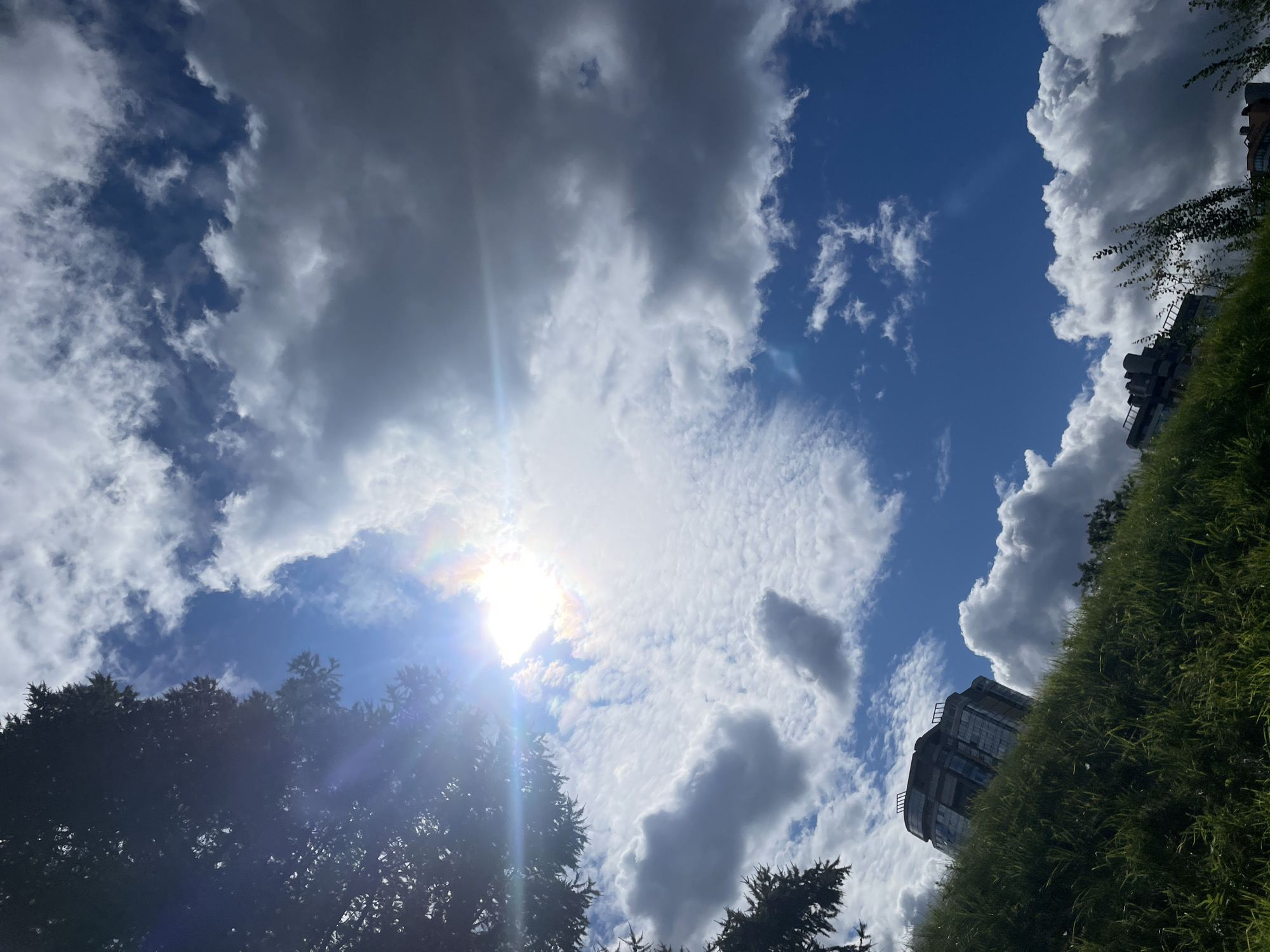 This image captures a dramatic sky with a bright sun partially obscured by clouds, creating a rainbow effect. The perspective is from a grassy hill looking upwards, with a dense tree on the left side of the frame silhouetted against the sky. In the middle ground, on the crest of the hill, sits a distinctive, multi-story building with a unique architectural design, possibly a former industrial or scientific facility, appearing somewhat aged. The sky is a mix of deep blue and white and gray clouds, with a few scattered cumulus clouds adding texture. The overall impression is one of a sunny, yet partly cloudy day in an urban setting. The distinctive architecture of the building and the presence of what appear to be residential buildings in the background suggest an urban environment. This specific building is known as the 'Kudrovo Space Gate' or 'Kudrovo Temple' and is located in Kudrovo, a district on the outskirts of Saint Petersburg, Russia, near the Koltushi Hills.