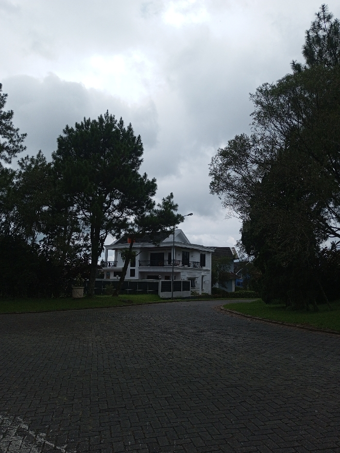 A cobblestone road curves toward a two-story white house. Lush green grass borders the road. Large, dark green trees frame the house and dominate the landscape. The sky is overcast with gray clouds, creating a muted, slightly somber atmosphere. Another house peeks from behind the first one. A streetlight is visible near the house.
