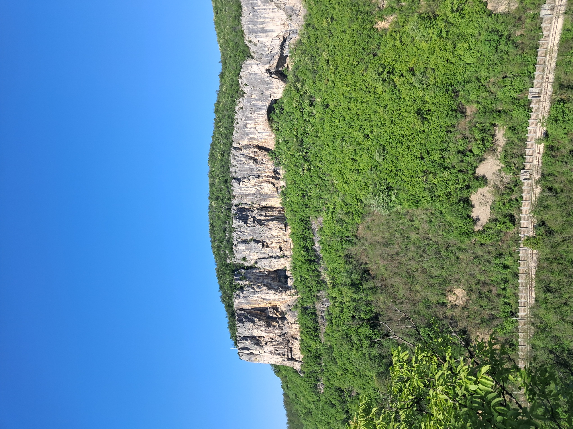 The image depicts a cliff face in Dryanovo, Bulgaria, likely part of the Dryanovo Monastery area. The cliff is composed of layered rock formations with shades of grey and brown. The left side of the image shows a clear blue sky. The cliff's top and right side are covered in lush green vegetation, including trees and dense foliage. A wooden boardwalk runs along the right edge of the image, nestled amongst the greenery. In the bottom right corner, some leaves of foreground vegetation are visible. No people are apparent in the scene.