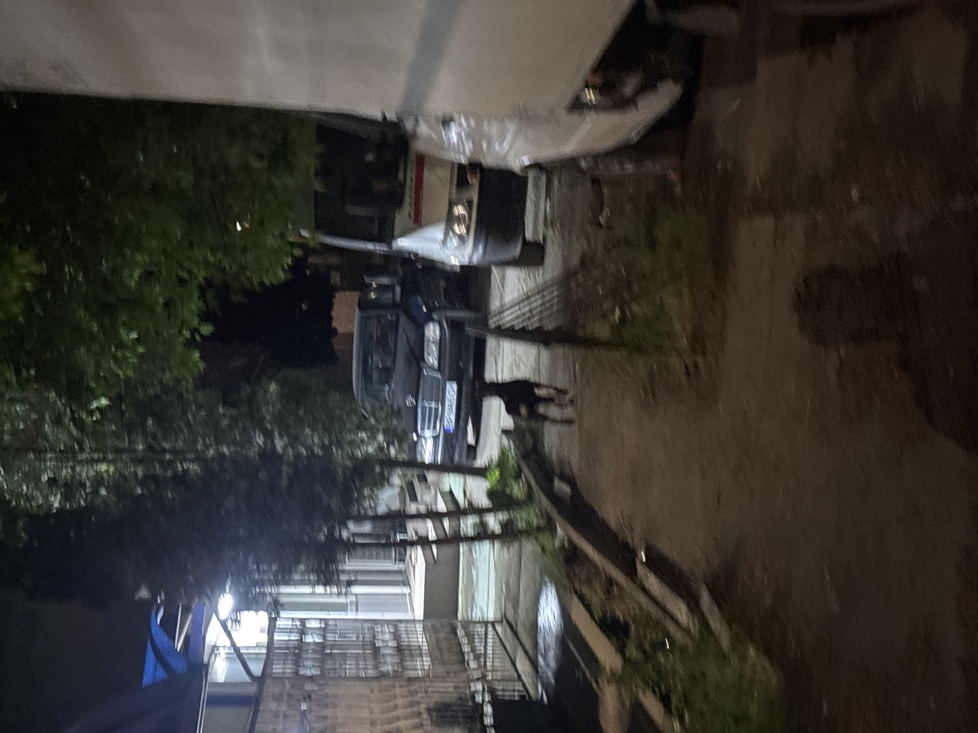 The image shows a dimly lit street scene at night in Lehchevo, Bulgaria. A black car is parked on the side of the road, with its headlights visible. Another car, covered by a white sheet, is parked further ahead. A dark-colored dog stands near the black car. A building with multiple windows and metal railings is visible in the background, partially obscured by trees. The ground appears to be a mix of pavement and dirt, with some vegetation along the edges.