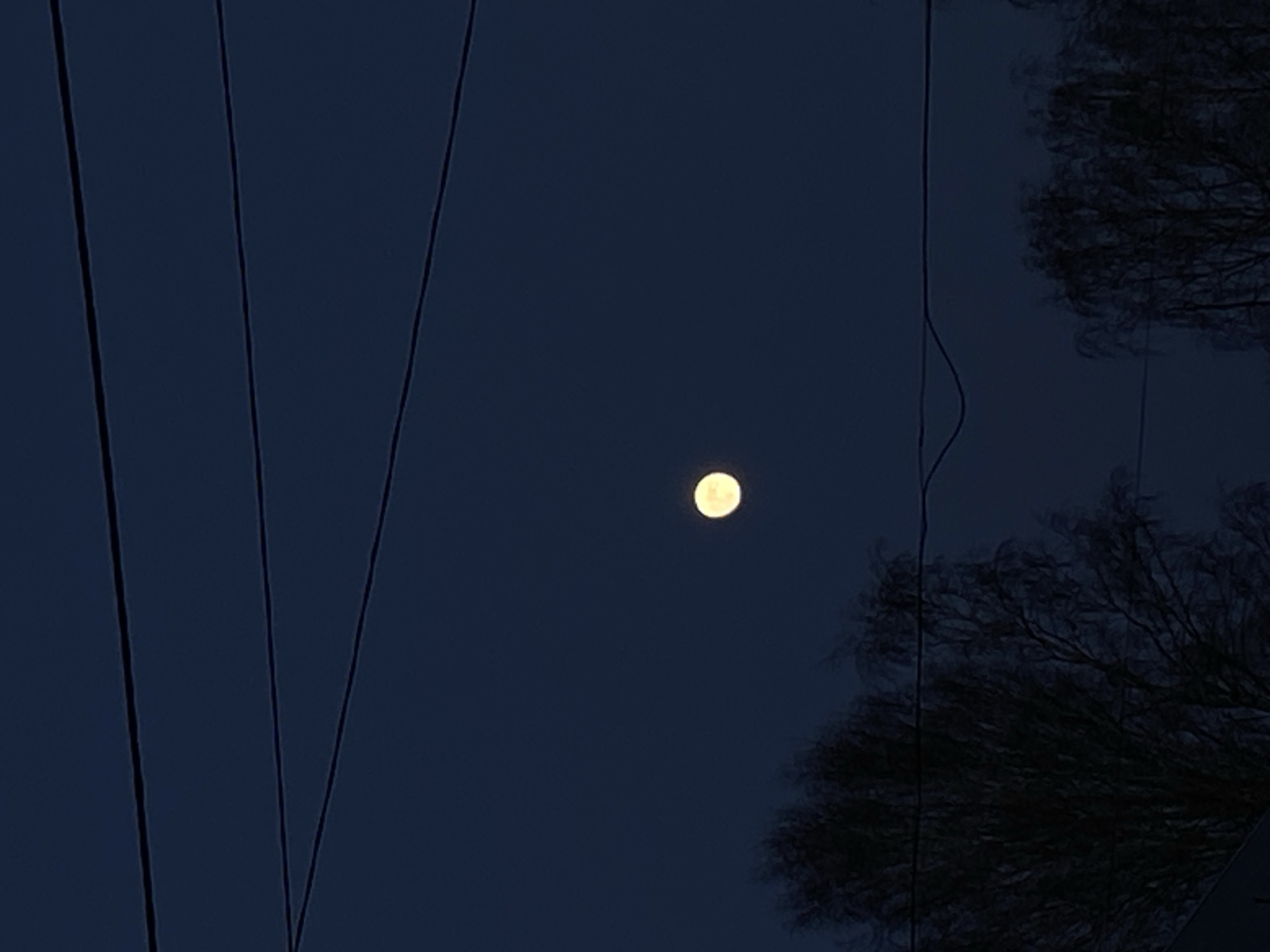 This image depicts a nighttime sky in Votkinsk, Russia, centered around a prominent moon. The sky is a deep, dark navy blue, suggesting either late evening or very early morning. A bright, round moon, glowing a luminous yellow-white, is the focal point, positioned slightly to the right of the frame's center.
Several dark, thin lines, likely utility wires or cables, crisscross the sky diagonally. Two main lines run from the upper left towards the lower right, and another from the upper right, curving slightly downwards. On the far right side of the image, the dark, intricate silhouette of bare tree branches is visible against the night sky, indicating a deciduous tree, possibly in a winter or dormant state. The sky appears clear, with no clouds visible, allowing the moon to shine unobstructed. The scene is static, capturing a peaceful and tranquil moment under the moonlight. There is no visible text or human activity depicted in the image.