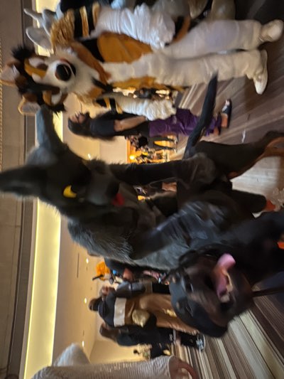 The image shows a group of people in fursuits at what appears to be a convention. The location seems to be indoors, in a large room with a bright light fixture on the ceiling. The room is filled with people, some of whom are also in fursuits, suggesting it might be a furry convention. The background is somewhat blurry, but it suggests a crowded setting. There's a wooden floor visible at the bottom right corner of the image. The subjects in the foreground are fursuiters, with one wearing a gray wolf fursuit with yellow eyes and another wearing what appears to be a black dog fursuit with its tongue out. In the background, another fursuiter wears a multicolored costume with white, orange, and black fur patterns. It is impossible to identify the specific city or location in Atlanta, United States from this single image.