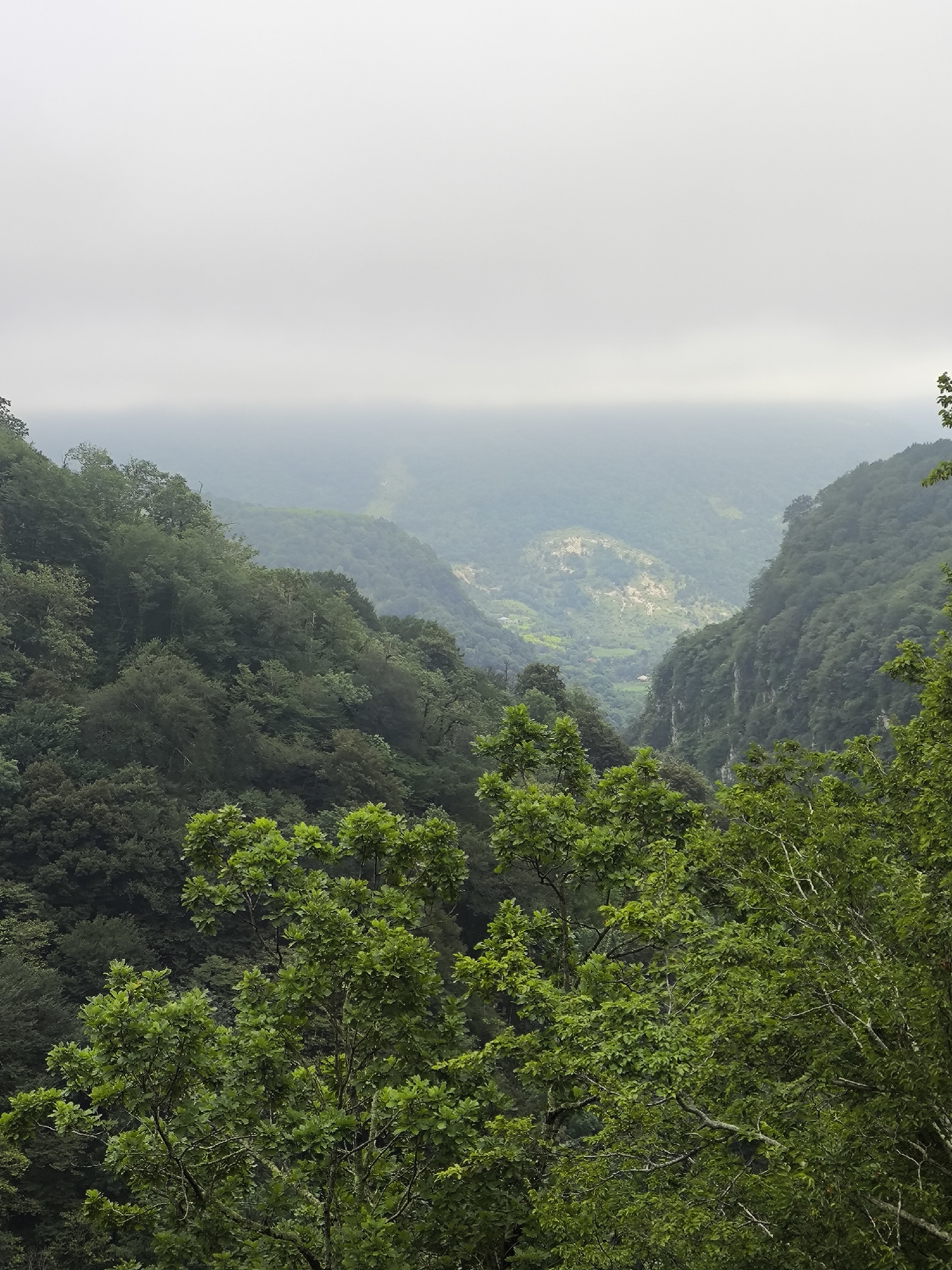 The image depicts a lush, green mountainous landscape. In the foreground, vibrant green foliage from large trees dominates, with some branches extending into the frame. The midground reveals a deep valley carved into the mountainside, heavily forested with trees of varying shades of green. The valley floor shows signs of human habitation with a small cluster of structures visible, illuminated by natural light. The background consists of more rolling hills and mountains shrouded in a light mist or fog, creating a soft, hazy atmosphere that obscures distant details and blends into the overcast sky. The overall impression is one of a remote, verdant natural environment with a hint of a settled area within the valley. The location is identified as Gaghma Nogha, Georgia.