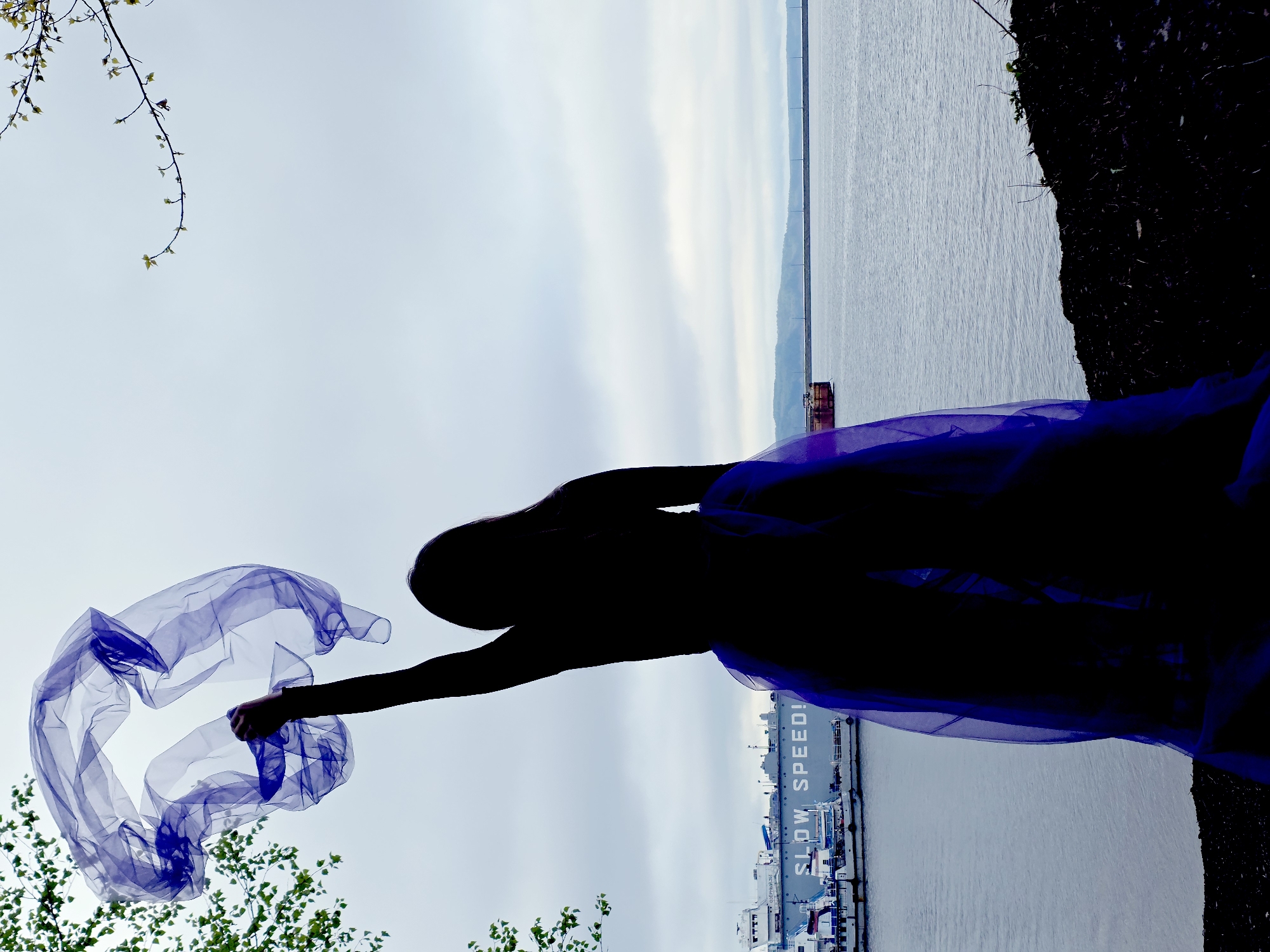 A figure, silhouetted against a cloudy sky and body of water, holds a piece of fabric aloft in their left hand. The figure is located on the coastline of the city of Chaikovsky, Russia. A ship bearing the words "SLOW SPEED!" is visible in the background. Vegetation is present on the upper left and lower left. A dark bank of dirt or land is visible on the right.