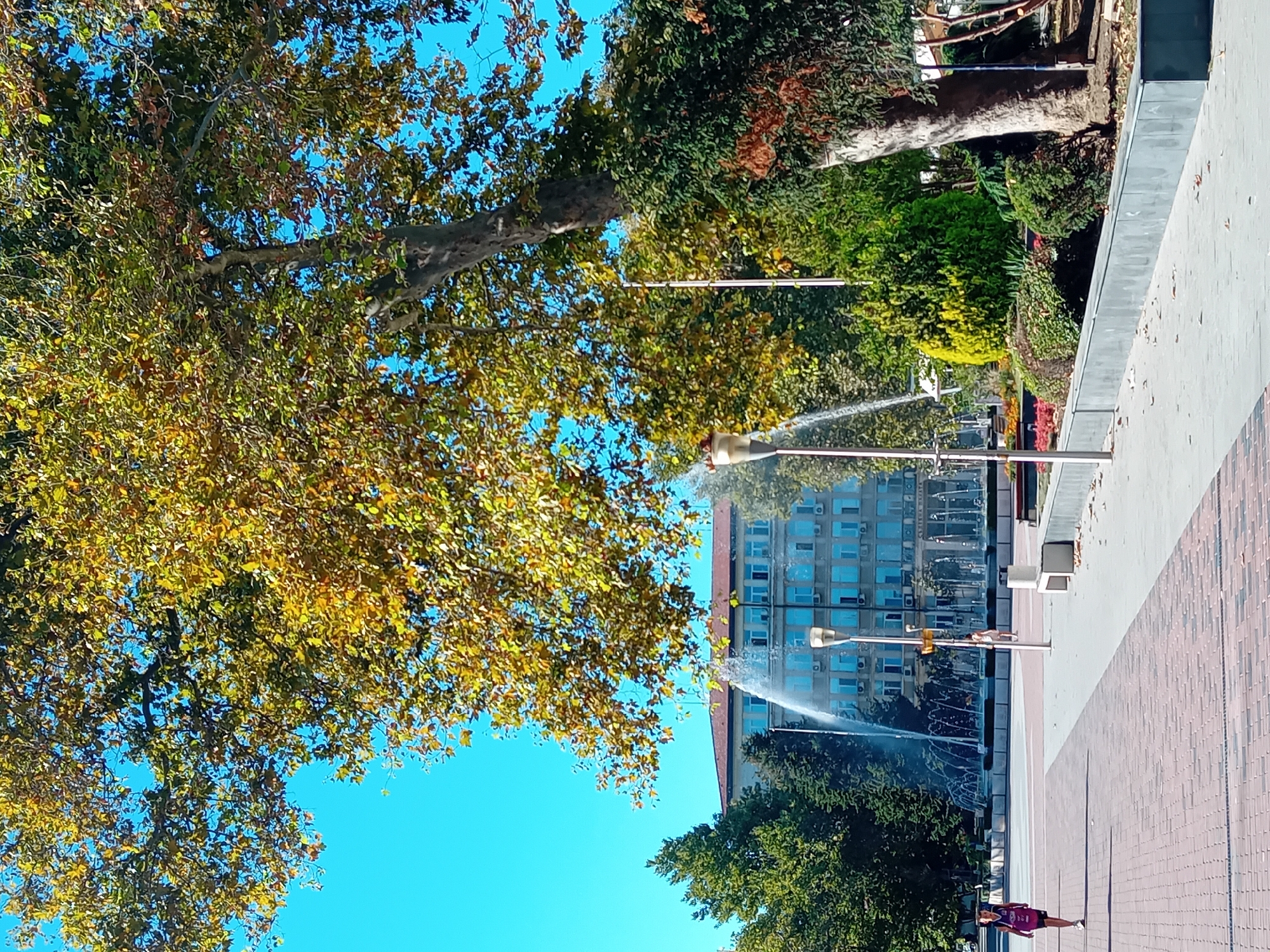 The image depicts a daytime scene in a city square, likely in Varna, Bulgaria, given the building's architecture and signage, possibly located near the Palace of Culture and Sports. In the foreground, a paved walkway with a brick pattern on the left leads into a wider, light-colored paved area. A single person, a young female with dark hair, wearing a purple top and black shorts, is walking away from the camera on the left side of the walkway. She has a pink bag slung over her right shoulder. Further into the square, a woman in a white dress is walking away from the camera towards a fountain.
The middle ground features a large fountain with multiple water jets spraying upwards, creating a misty effect. Behind the fountain, a multi-story building with a neoclassical architectural style stands prominently. The building has numerous windows and decorative elements, and a sign with Cyrillic text is visible. The building appears to be an administrative or public institution.
The background is dominated by lush green trees and foliage, with some showing autumn colors, indicating a fall season. A large tree with yellowing leaves is in the upper right portion of the image, partially obscuring the sky. Streetlights are present, one with a decorative lantern, and a park bench is visible. The sky is clear and blue. The overall atmosphere suggests a pleasant, sunny day in an urban park or public space.
