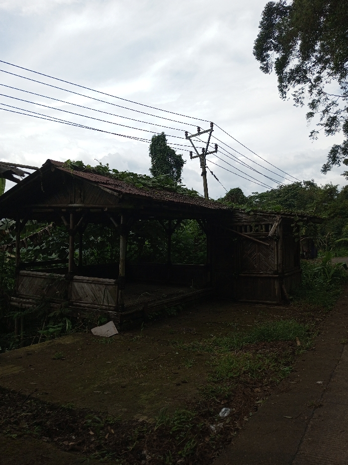 This static, exterior image depicts a dilapidated, open-sided structure set within a vegetated environment under an overcast sky in Ariyalai, Sri Lanka.
The primary subject is a single-story, open-sided shelter or kiosk-type building, constructed predominantly from bamboo and dark wooden poles. It features a peaked roof covered with rusted corrugated metal, heavily overgrown with dark green vines and foliage. The structure's front exhibits an open design with a low bamboo railing, while the right side includes a more enclosed section detailed with vertical and diagonal bamboo slats. The interior of the structure appears dark and unoccupied, with an earth floor. A portion of the roof framing on the left side shows visible damage or deterioration.
The immediate foreground consists of dark earth and sparse green grass, with minor debris including a white flat object and a crumpled plastic bottle. A narrow, dark gray paved or concrete pathway runs along the right edge of the frame.
In the midground and background, dense tropical foliage and trees with dark green leaves surround the structure. A wooden utility pole with three cross-arms and multiple parallel power lines extends horizontally across the upper midground, positioned to the right of the structure. The sky is entirely overcast, displaying a uniform light gray cloud cover.
No individuals or active interactions are present in the scene. The overall lighting is dim and diffuse, consistent with an overcast day, resulting in soft shadows and a dark interior for the structure.