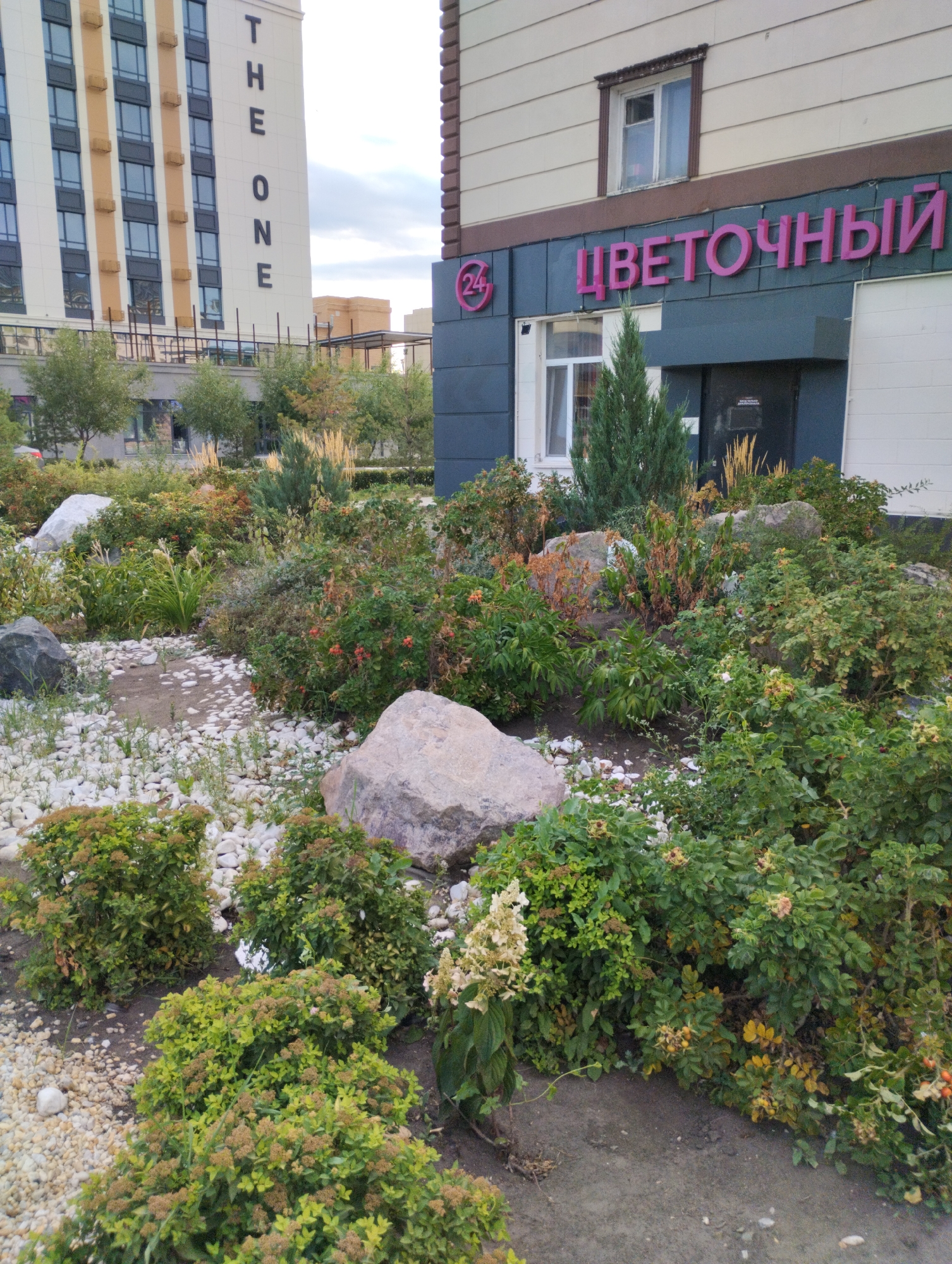 The image depicts a street-level view of a commercial building with a landscaping area in front. The building features a dark facade with prominent pink lettering that reads "ЦВЕТОЧНЫЙ" (TsVETOCHNY), which translates to "Floral" in English, indicating it is likely a flower shop. A circular logo with the number "24" is visible to the left of the text.
The landscaping consists of a variety of shrubs, bushes, and ornamental grasses interspersed with large rocks and white gravel. Several large, light-colored boulders are placed strategically within the planting beds. The vegetation appears to be a mix of evergreen and deciduous plants, some of which show signs of autumn coloration with dried leaves and seed heads. A tall, slender evergreen tree stands near the entrance of the shop.
In the background, a tall residential building with a striped facade and numerous windows is visible. The building is inscribed with the text "THE ONE" vertically on its side. Further in the distance, other urban structures can be seen under a partly cloudy sky. The scene is devoid of any people. This image is likely taken in a modern urban development area.