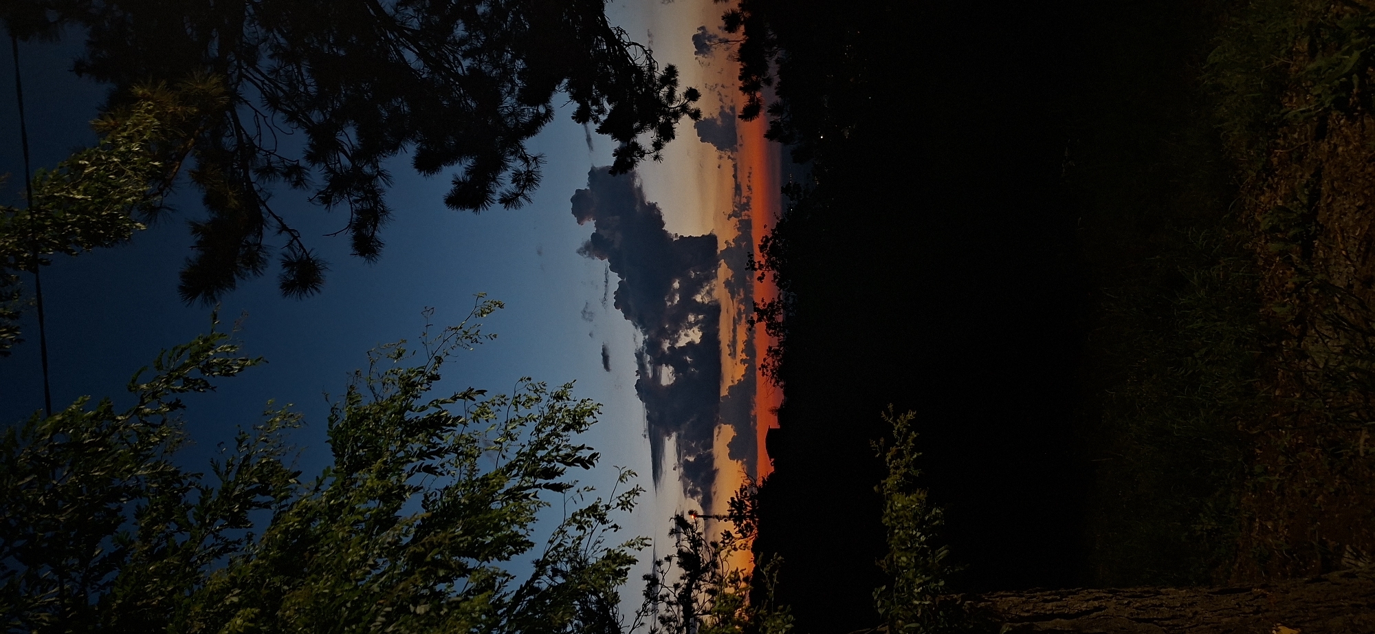 A vertical, wide-angle shot captures a twilight scene with silhouettes of trees against a colorful sky. In the foreground, the dark trunk of a tree is visible on the left, with branches and leaves framing the upper left corner. A pine tree’s silhouette is in the upper right. The sky transitions from a deep blue at the top to bands of orange and red near the horizon, where a line of dark trees and a distant building are silhouetted. A few dark clouds are scattered across the sky. The lower portion of the image is black, obscuring the ground, suggesting it is nighttime or very low light. The location is described as Lyaskovets, Bulgaria, implying an outdoor, elevated viewpoint overlooking a landscape.
