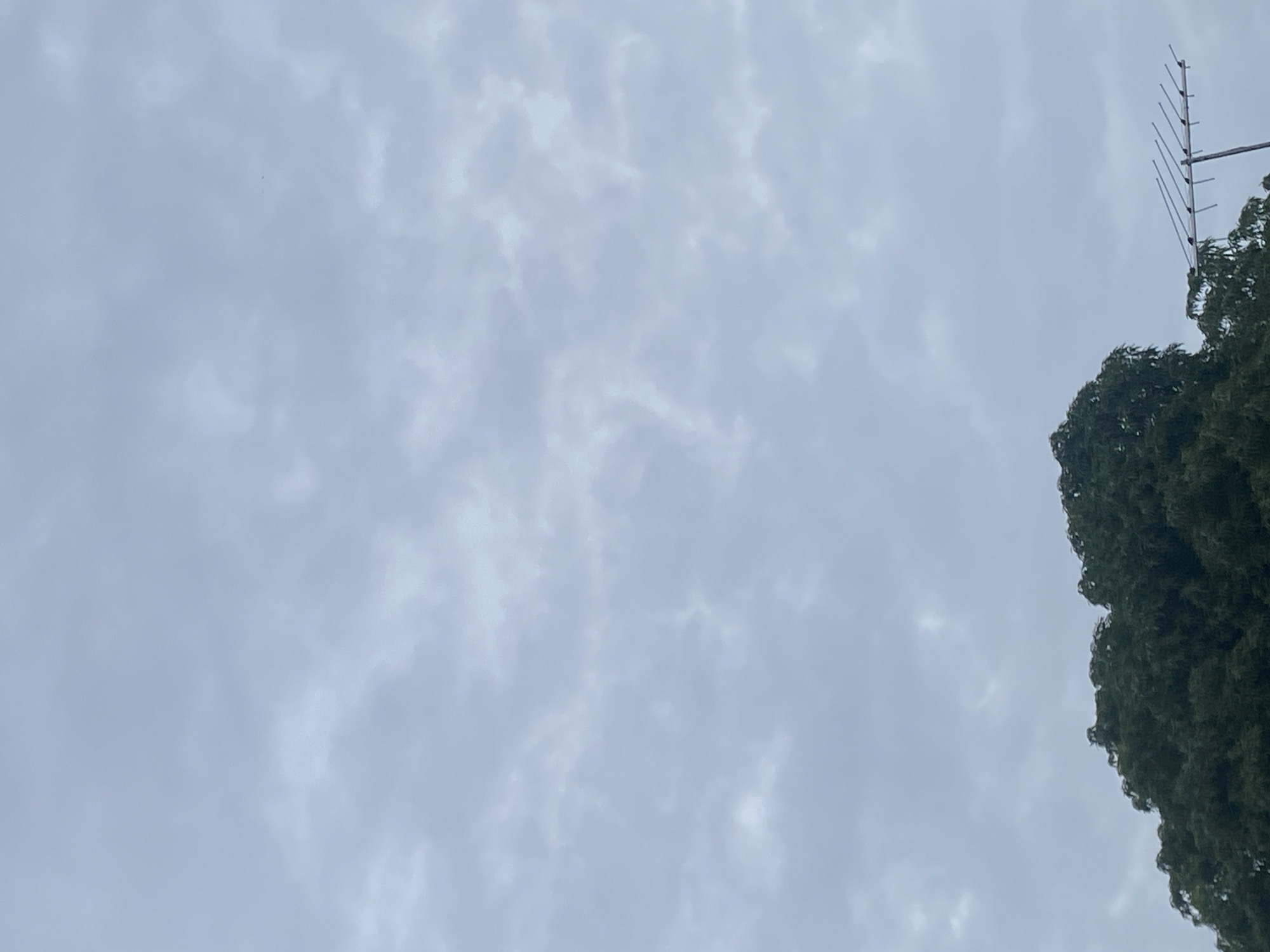 The image shows a cloudy sky over a portion of Tinaquillo, Venezuela. In the foreground, the top of a dense green tree is visible on the left. To the right of the tree, a horizontal antenna with multiple prongs extends into the frame, supported by a vertical pole. The sky is filled with numerous small, light gray clouds.