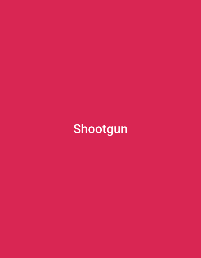 The image is a solid crimson background with the word "Shootgun" in white text centered horizontally and vertically. There is no indication of location, people, objects, actions, or interactions. It is impossible to determine any connection to Plovdiv, Bulgaria based solely on the information provided in the image.
