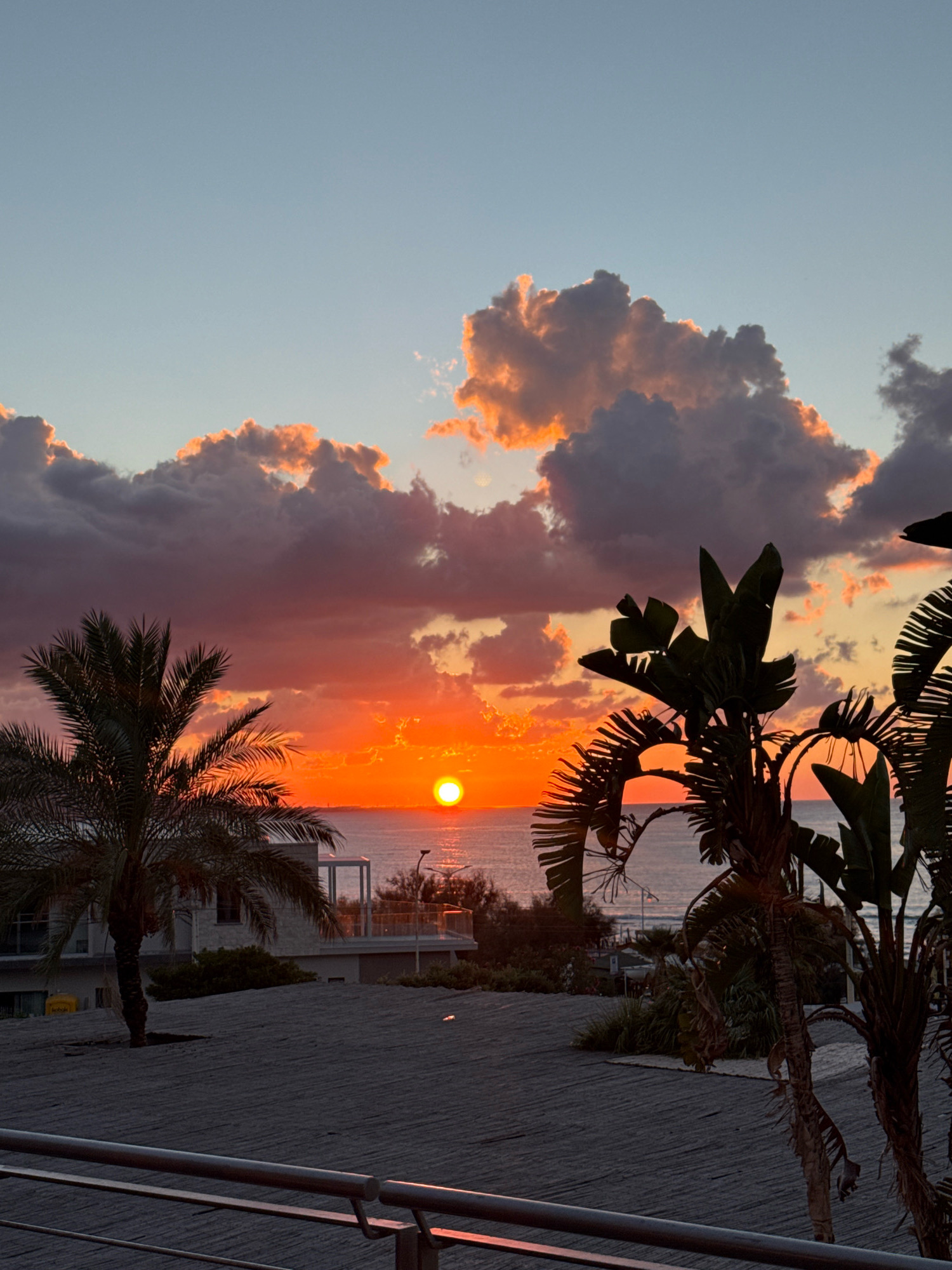 A sunset over the Mediterranean Sea, viewed from a coastal location in Isola delle Femmine, Italy. The sky is a gradient of pale blue at the top, transitioning to vibrant orange and pink hues where the sun is setting. Dramatic clouds, tinged with orange and purple, are scattered across the sky. In the foreground, silhouetted palm trees and other tropical foliage frame the scene. A modern building, likely a hotel or residential complex, is visible behind the vegetation, with balconies and windows. The ground in the mid-ground appears to be paved with a textured material, possibly a walkway or patio. A railing is visible in the lower portion of the image, suggesting a vantage point from a balcony or elevated area. The calm sea stretches to the horizon, reflecting the colors of the sunset. There are no people visible in the image.