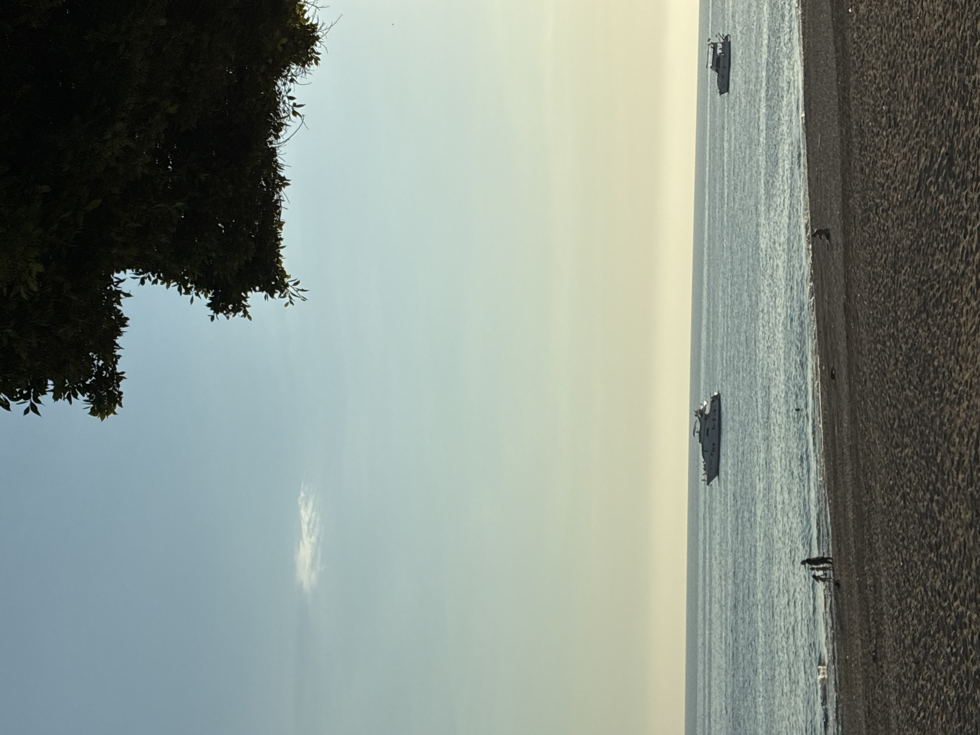 The image shows a tranquil beach scene in Alanya, Turkey, at sunset. The sky is a gradient of soft blues and yellows, with a hint of clouds. A lush green tree hangs over the top right corner of the frame, casting a shadow on the sky. The sea is calm, with gentle waves lapping at the shore. In the distance, two yachts are visible on the water. On the beach, a family of three, two adults and a child, are walking along the shoreline. The sand is dark and textured, with footprints visible. The overall atmosphere is peaceful and serene.