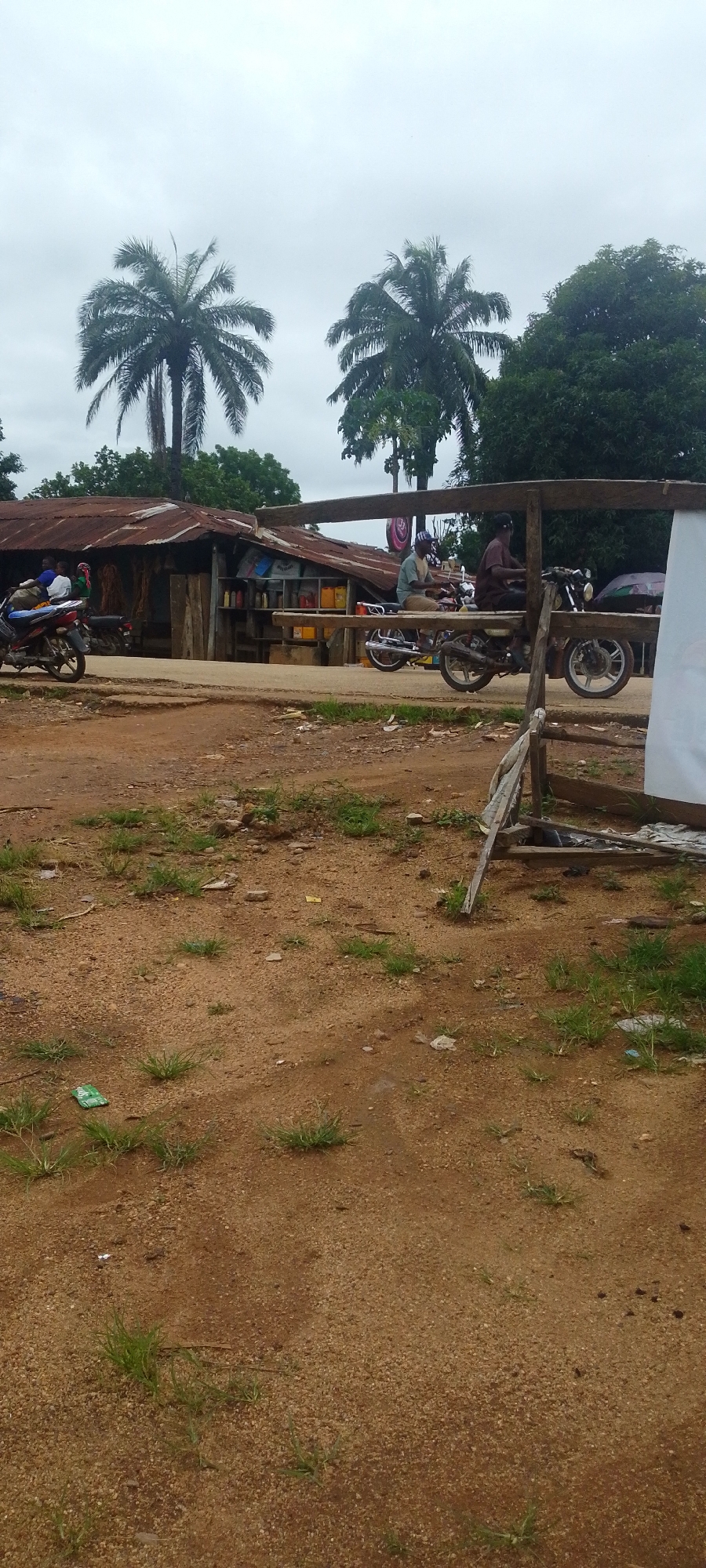 The image depicts a street scene in Baissa, Nigeria, on an overcast day. In the background, a weathered building with a corrugated metal roof houses shelves stocked with various bottles, likely for sale. Two palm trees stand tall against the cloudy sky, with lush green foliage and trees surrounding the building.
In the foreground, a dusty dirt road stretches out, with patches of sparse green grass growing through the soil. A makeshift wooden structure, possibly a temporary stall or shelter, is set up on the right side of the road.
Several motorcycles are parked or in motion. On the left, a blue motorcycle with a rider and passenger is visible. In the center, two men on motorcycles are riding along the road. One is on a red and white motorcycle, and the other is on a silver motorcycle. The overall atmosphere suggests a rural or semi-urban setting in a tropical climate. There is no visible text in the image.