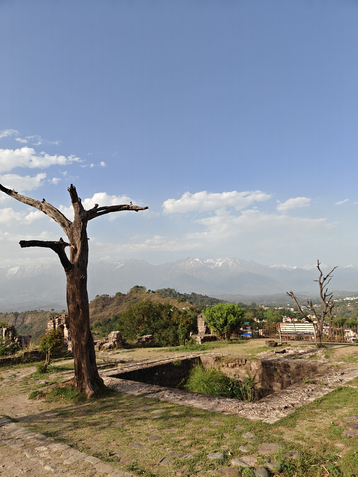 The image captures a scene at the Kangra Fort in Kaswara, India. The foreground consists of a grassy ground interspersed with stone pavers. A tree with bare branches dominates the left side of the frame. Adjacent to the tree is a rectangular brick structure, possibly a ruin or remnant of the fort. A second, smaller bare tree stands to the right of this structure. Behind the second bare tree, there is a white park bench inside a black fence. In the background, a mountainous landscape rises, with snow-capped peaks visible on the horizon, partially obscured by a hazy atmosphere. Lower in the background, a mix of green vegetation and some buildings suggest a settled area. The sky is blue with scattered white clouds.