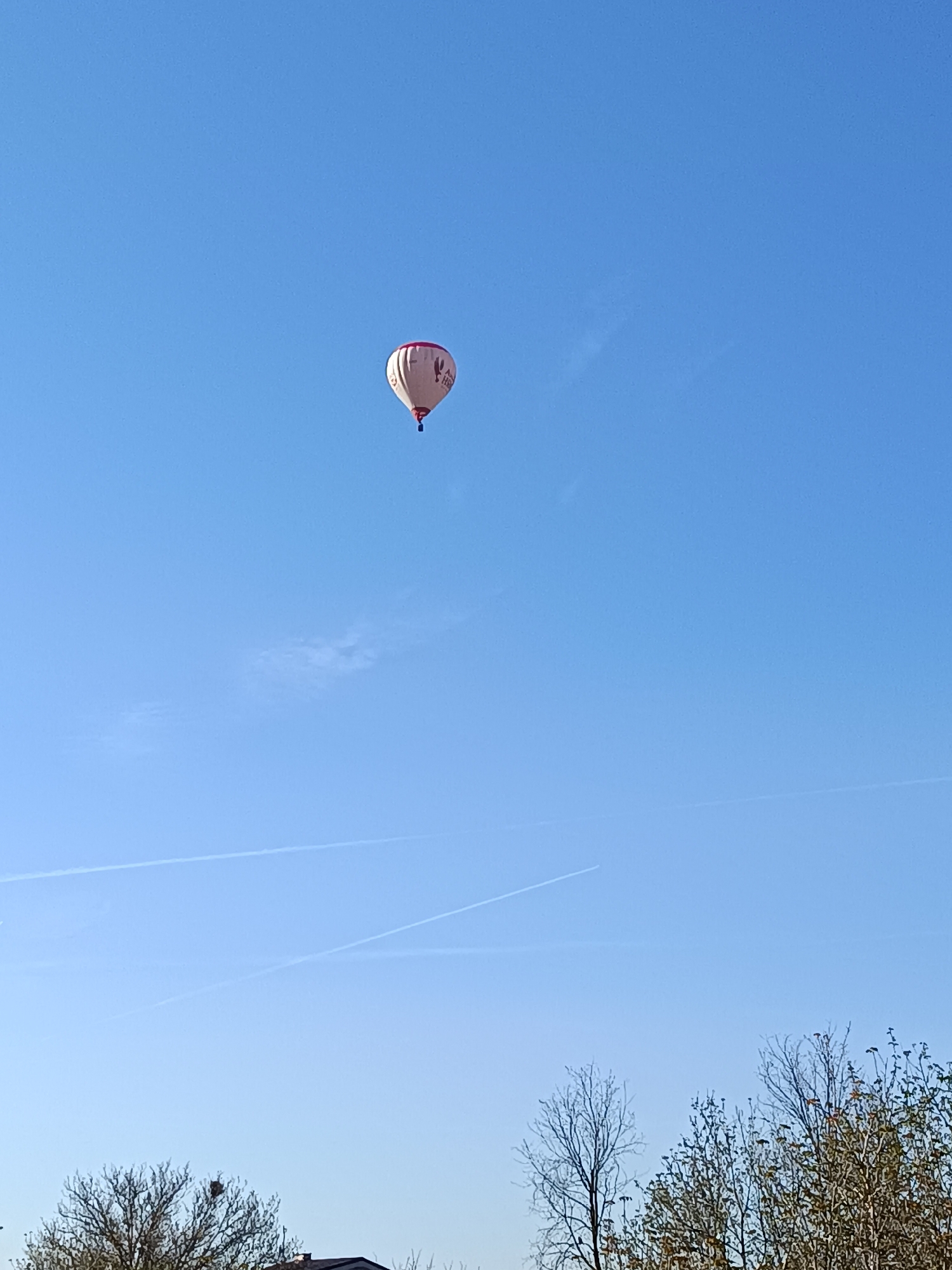 The image shows a hot air balloon in a clear, blue sky. Below the balloon, there are contrails from aircraft. In the lower part of the image, there are bare trees and the tops of some buildings, suggesting an urban or suburban area. The location is possibly Vasil Drumev, Bulgaria, based on the prompt. There are no people visible. The balloon is the primary subject, contrasting with the sky.