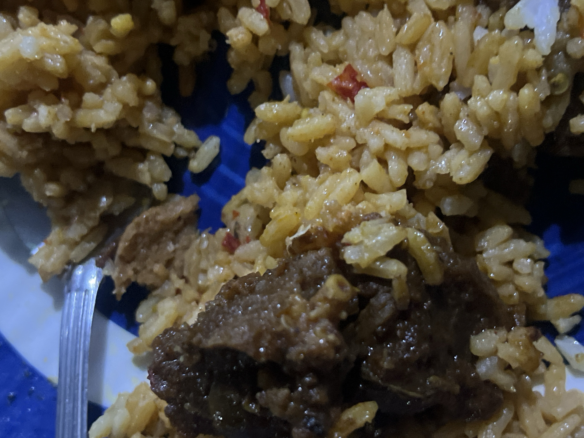 A close-up shot shows rice and meat on a blue and white patterned plate. A portion of a metal fork is visible on the left side of the frame. The scene presents a simple, food-related subject. No information suggests that this image was taken in Jalingo, Nigeria.