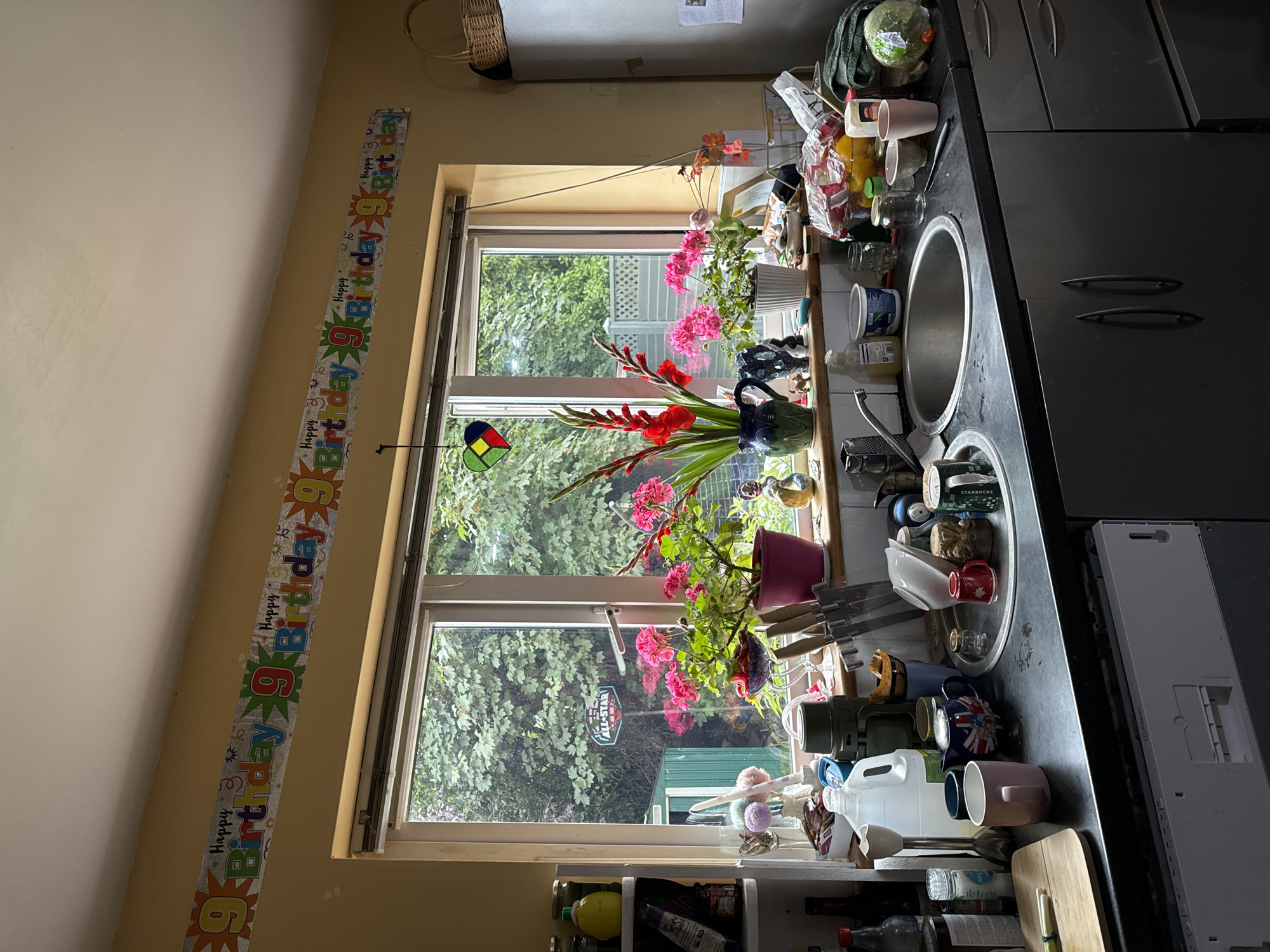 This is an indoor, eye-level, medium shot of a kitchen windowsill and countertop area, featuring a large window looking out onto a garden. A yellow banner reading "Happy Birthday 9" is stretched across the wall above the window. On the windowsill, several potted plants with pink and red flowers are arranged, along with decorative items and kitchen utensils. The countertop is cluttered with various kitchen items, including mugs, dishes, a sink, a blender, and cleaning supplies. The overall impression is of a lived-in, somewhat messy kitchen, likely prepared for a birthday celebration. The mention of "Waterford, Ireland" appears to be an external context not directly supported by visual evidence in the image itself, as the scene depicts a generic kitchen interior and a garden view.