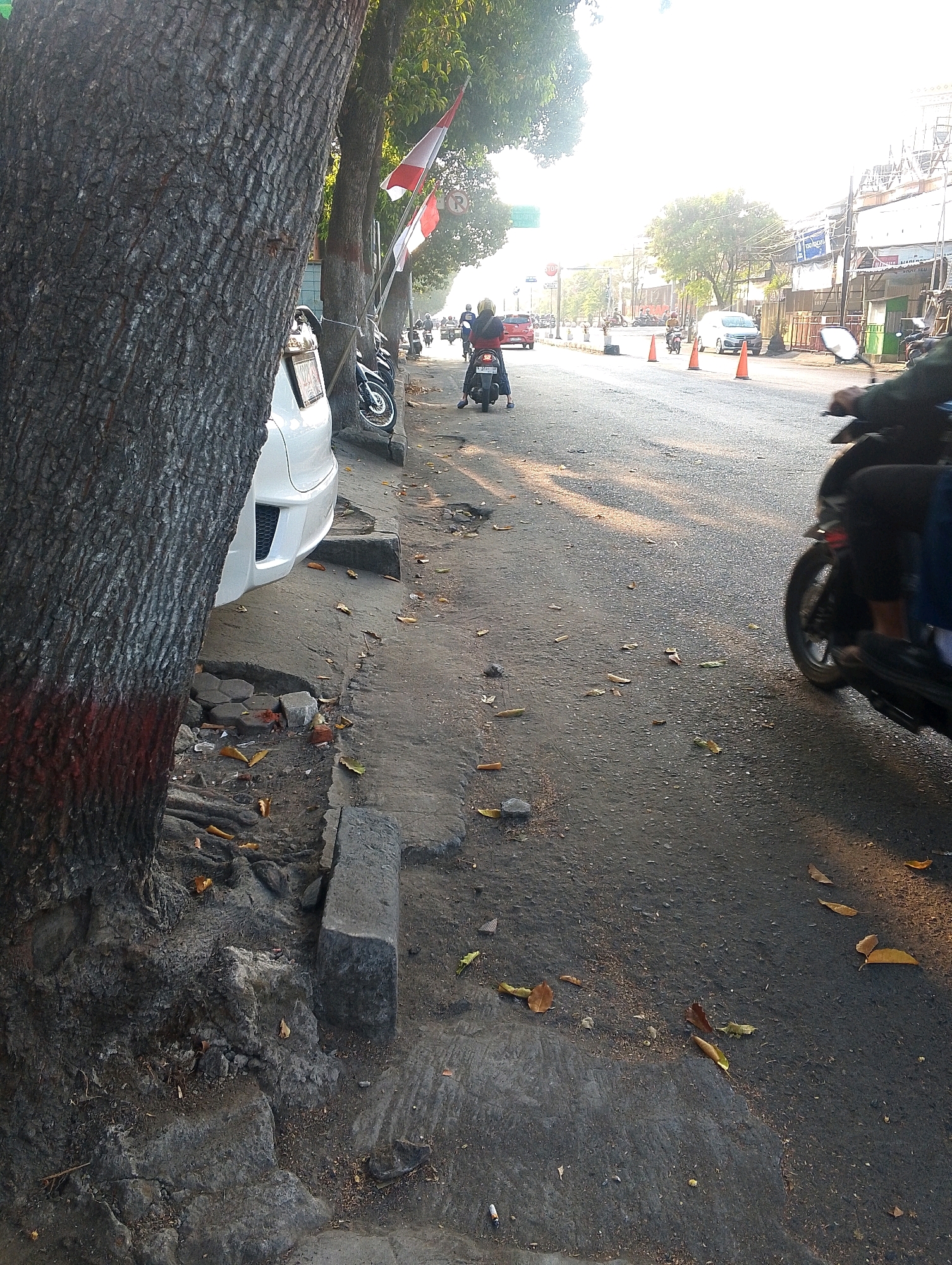 The image shows a street scene in what appears to be a city. In the foreground, a large tree trunk with rough bark is visible on the left, marked with red paint near its base. Next to the tree, a white car is parked, partially obscured by the tree. The car's rear bumper and taillight are visible.
The street itself is paved and appears to be a two-lane road. Several motorcycles and a few cars are driving on the road. One motorcycle in the foreground is partially visible, with a rider on it. Further down the road, other vehicles and riders are present.
Along the right side of the road, there is a sidewalk that appears to be made of concrete and is in disrepair in some sections. Fallen leaves are scattered on the sidewalk and the road. In the distance, buildings line the street, some appearing to be shops or businesses, with scaffolding visible on one of them. Flags, appearing to be red and white, are attached to poles along the side of the road. The scene is illuminated by sunlight, suggesting it is daytime. The overall impression is of a moderately busy urban street during the day.