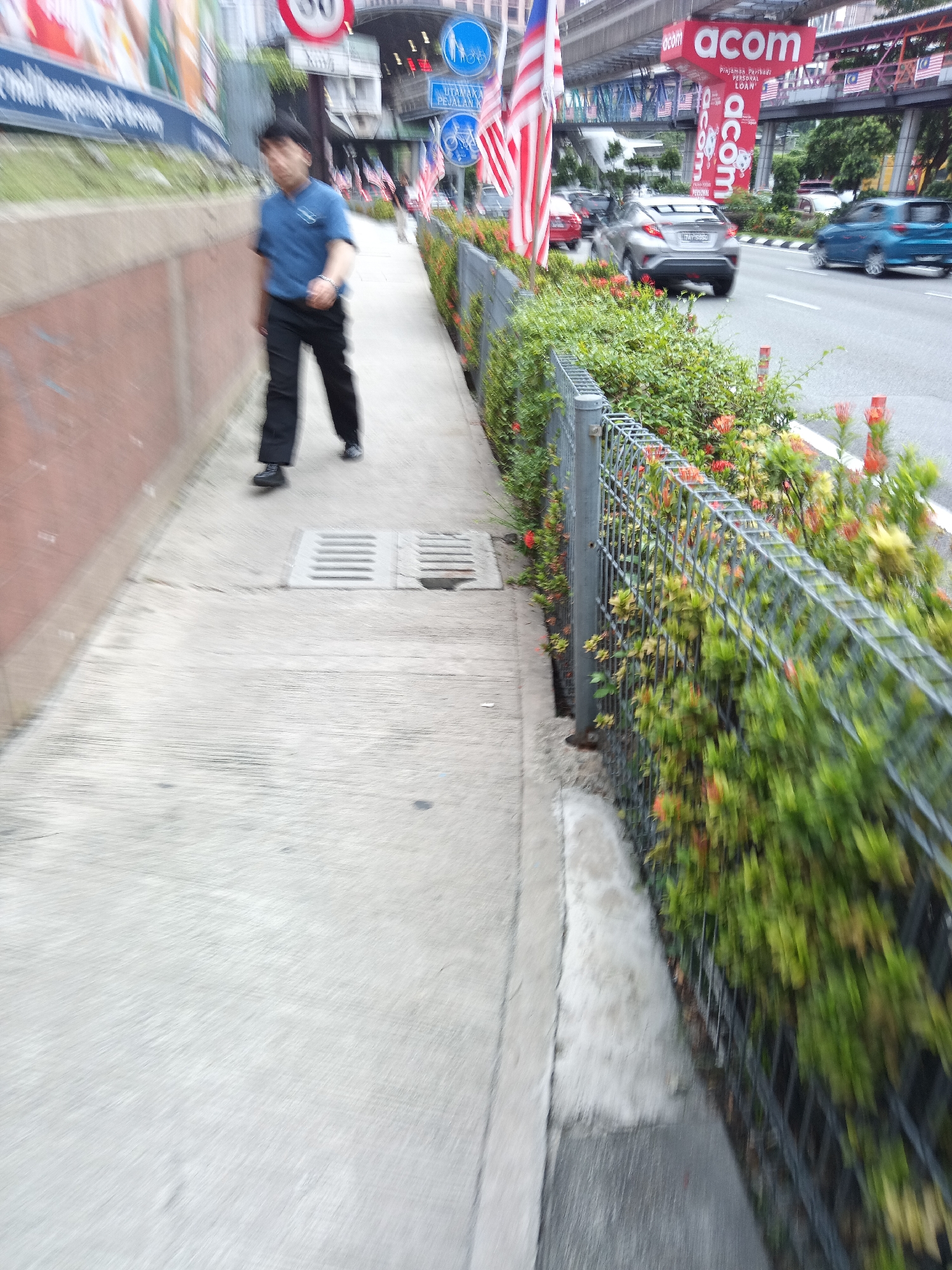 The image captures a street scene in Kuala Lumpur, Malaysia, likely in an urban area given the presence of traffic and overhead infrastructure. In the foreground, a person wearing a blue polo shirt and black trousers walks along a concrete sidewalk. The person is slightly blurred due to motion. To the right of the sidewalk is a metal fence bordering a strip of lush green bushes with red flowers, suggesting a well-maintained public space or roadside greenery. Beyond the fence, a busy street is visible with cars, including a silver hatchback and a blue sedan, in motion. Overhead, an elevated structure, possibly a pedestrian walkway or part of a monorail system, spans across the road. Prominent signage is visible, including red signs with the "acom" logo and text in what appears to be Malay, indicating commercial activity. The overall impression is a dynamic urban environment with active transportation and commercial presence.