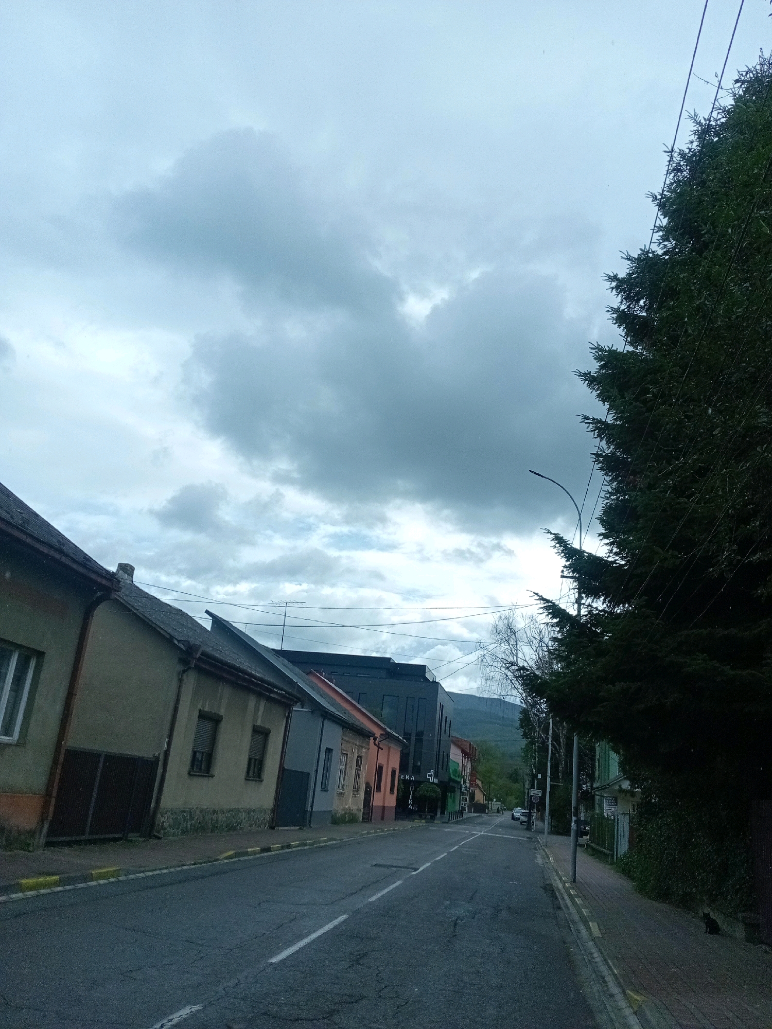 This is a street scene in Tiachiv, Ukraine, under a cloudy sky. The perspective is from a street level, looking down a road lined with buildings on the left and a dense evergreen tree on the right. The buildings on the left are of varying heights and architectural styles, with some appearing older and residential, featuring pitched roofs and muted-colored facades. One building is darker and more modern with glass elements. A paved sidewalk runs alongside these buildings. The road is asphalt with visible cracks and white lane markings. On the right side of the road, a tall, dark green evergreen tree dominates the foreground, its branches obscuring the sky in that area. A streetlamp with a curved arm is visible behind the tree, and power lines crisscross the sky. Further down the road, more buildings can be seen, as well as a distant hillside. A single black cat is sitting on the sidewalk near the right edge of the frame. The overall atmosphere is somewhat overcast and subdued.