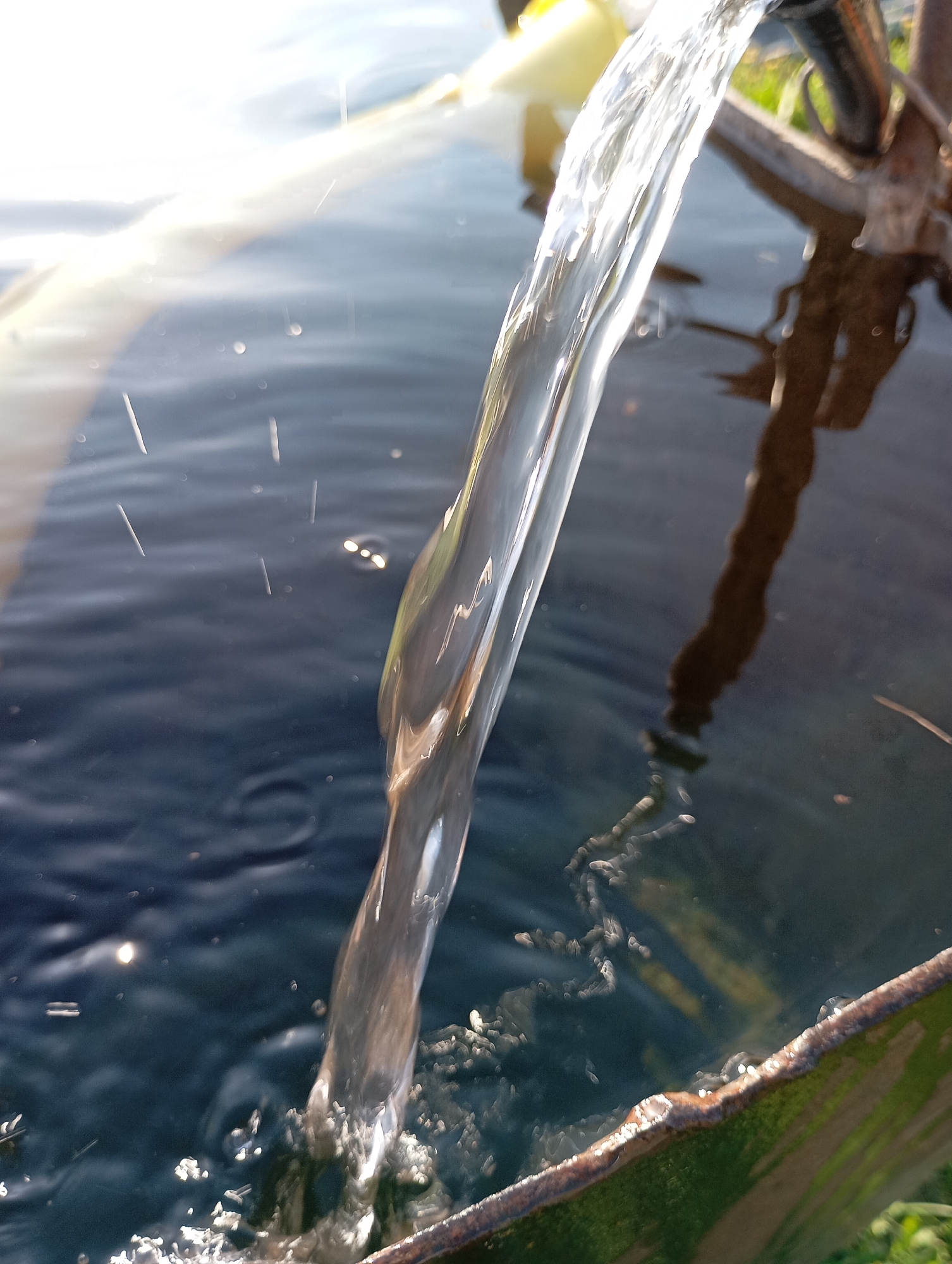 A stream of water pours into a dark-colored pool enclosed by a metal rim, which appears to be a water tank or trough. The sunlight reflecting on the water surface creates a glare. The water source is partially visible at the top right. The location is not specified.