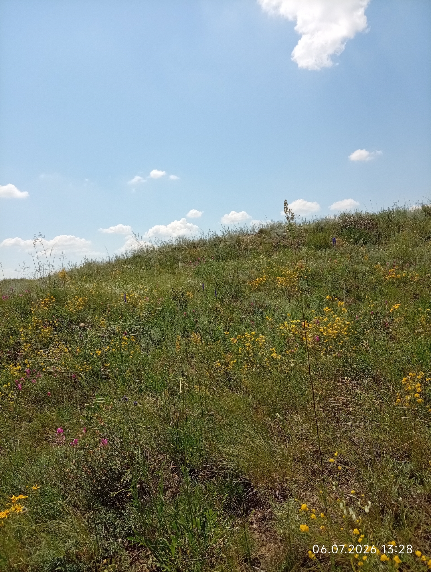 This is a full, outdoor, eye-level shot of a grassy hillside in Aleksandrovka, Kazakhstan, on July 6, 2026, at 1:28 PM. The sky is light blue with scattered white clouds. The hillside is covered in green grass and various wildflowers, predominantly yellow and pink. The terrain slopes upward from the foreground to the background. No people or man-made structures are visible.