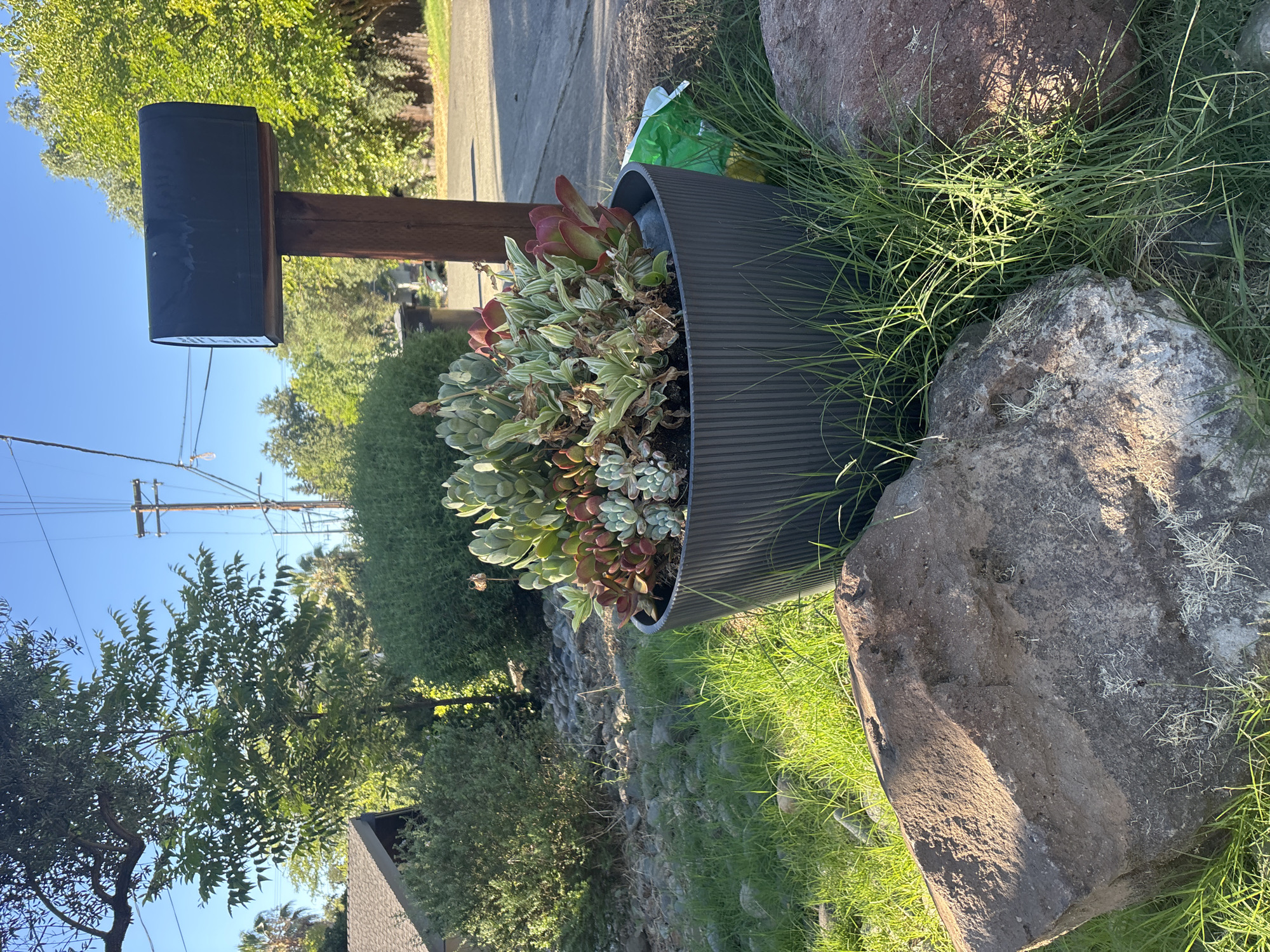 An exterior medium shot captures a mailbox post with a dark mailbox on top, situated on a residential street in Fair Oaks, United States. The mailbox is positioned to the right of a large, dark gray planter filled with succulents. The planter sits on a grassy area with large rocks in the foreground and middle ground. The background features dense green bushes, trees, a residential roof, a telephone pole with wires, and a paved street. The lighting indicates it is daytime with bright sunlight.