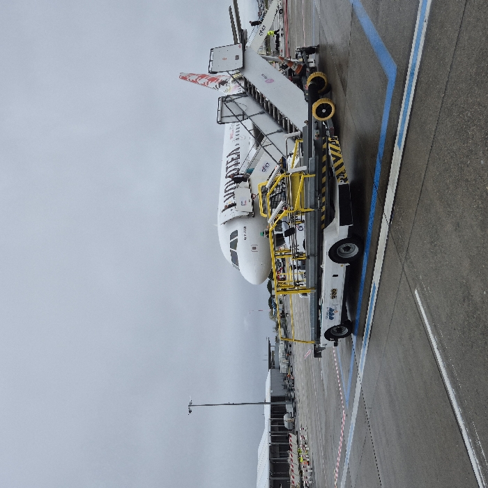 The image depicts an airport apron scene at Toulouse-Blagnac Airport in Blagnac, France. The ground surface is asphalt, appearing wet, under an overcast sky.
A white Volotea Airbus A319 passenger aircraft, with registration F-HJJA, is parked in the midground, facing left. Its forward left passenger door is open, with a white mobile boarding staircase docked to it. One individual, likely ground personnel, is positioned on this staircase. A second mobile staircase is visible near the aircraft's tail section.
In the foreground, a white ground support vehicle, appearing to be a baggage or cargo loader, is parked. It features yellow safety railings on its upper platform and black-and-yellow chevron markings on its rear. The vehicle's flat bed contains several horizontal metal bars. "ACS" branding is visible on the vehicle.
In the left background, airport terminal or maintenance buildings and a tall floodlight pole are present. The tarmac displays various ground markings, including prominent blue and white lines.