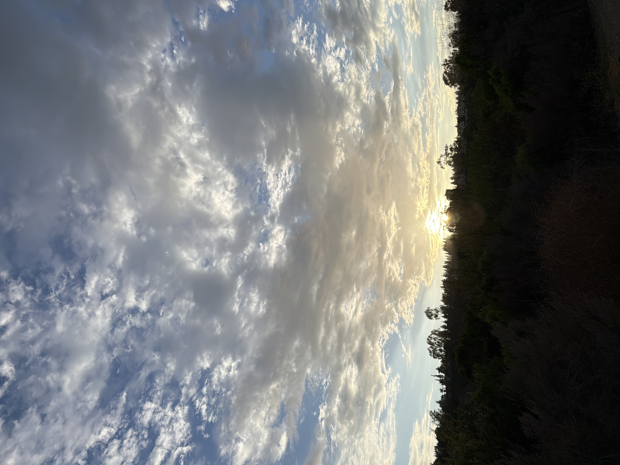 The image captures a scenic view of a hillside covered in dense green and brown vegetation, likely a natural park or open space area, under a vast, dynamic sky filled with scattered clouds. The sun is setting or rising, casting a warm, golden glow through gaps in the clouds, creating a dramatic lighting effect. The sky transitions from a pale blue near the horizon to deeper blues and grays higher up, with streaks of white and yellow in the clouds illuminated by the sun. The vegetation in the foreground is dark and shadowed, with visible dry brush and branches, while the trees on the hillside are silhouetted against the brighter sky. In the distance, some buildings or houses are faintly visible on top of the hill, suggesting a residential area bordering the natural landscape. The image appears to be taken from a slightly elevated position, looking out over the natural terrain towards the horizon. The location is identified as Aliso Viejo, United States of America, a city known for its parks and open spaces, which aligns with the visual elements of the photograph. There are no people or animals visible in the image.