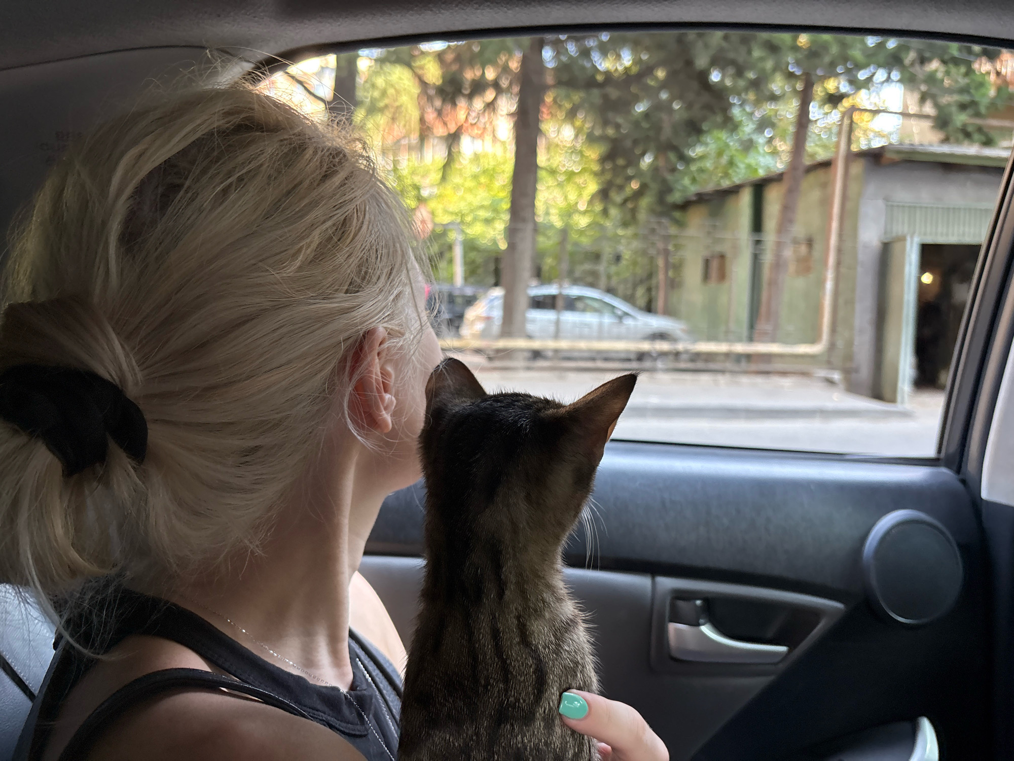 A woman with blonde hair tied back in a bun with a black ribbon is seated in the passenger seat of a car, looking out the window. She is wearing a dark tank top. A small tabby kitten is held in her arms, also looking out the window. The kitten has green nail polish on its visible paw. Outside the car, through the window, trees with blurred foliage are visible, along with a light-colored car parked in the background. Further back, there is a low-rise building with a light-colored roof and a doorway. The car interior shows a black door panel, a silver door handle, and a black speaker. The scene appears to be in a city environment, possibly Tbilisi, Georgia, given the architectural style of the building and the vegetation.
