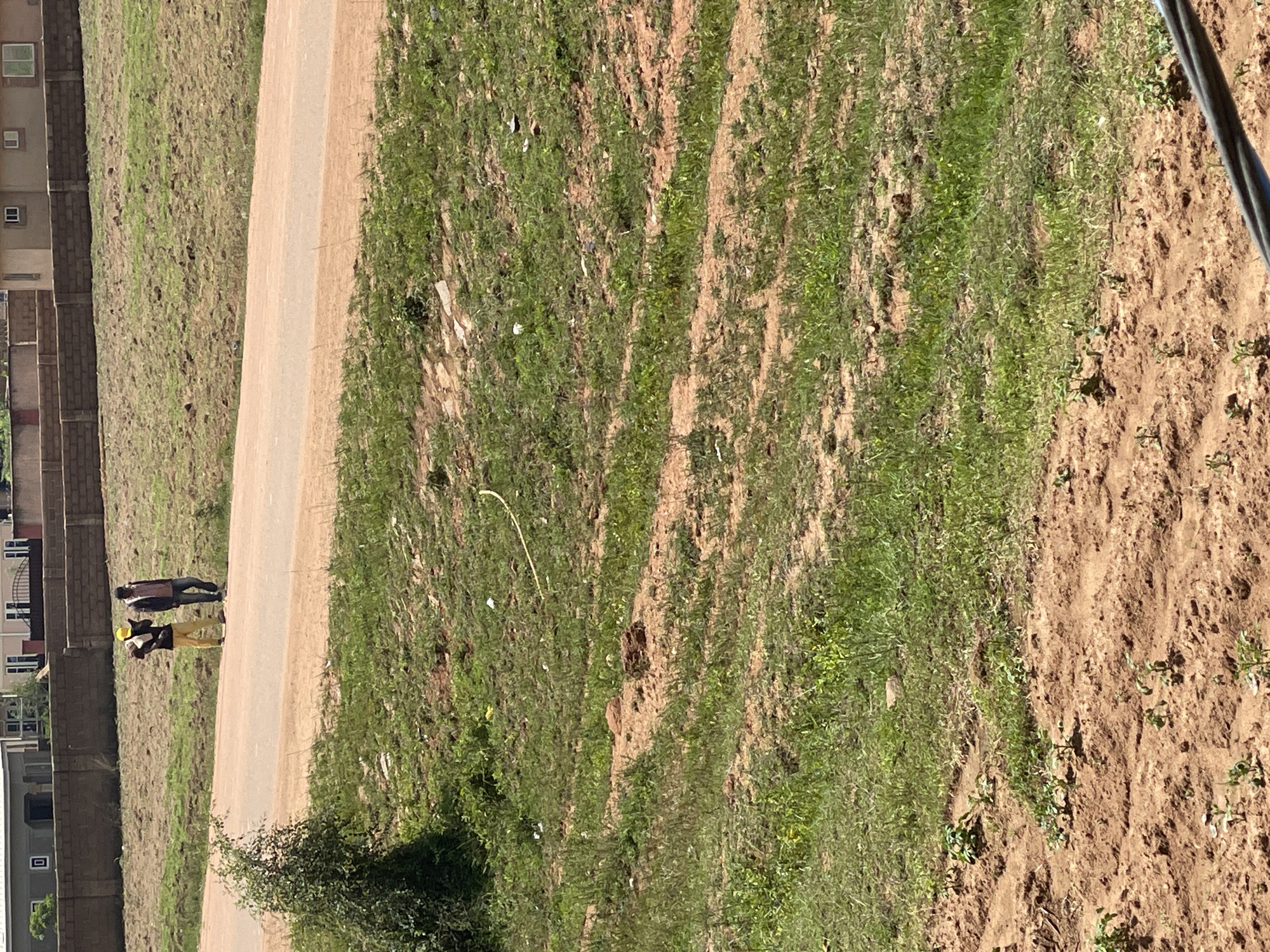 Two individuals are walking along a paved road, with one wearing a yellow hat and the other in a dark jacket. The scene is outdoors, likely in a semi-urban or rural area, as evidenced by the unpaved ground with vegetation and sparse buildings in the background. The foreground shows tilled soil with small plants emerging. The location is identified as Kwang, Nigeria.