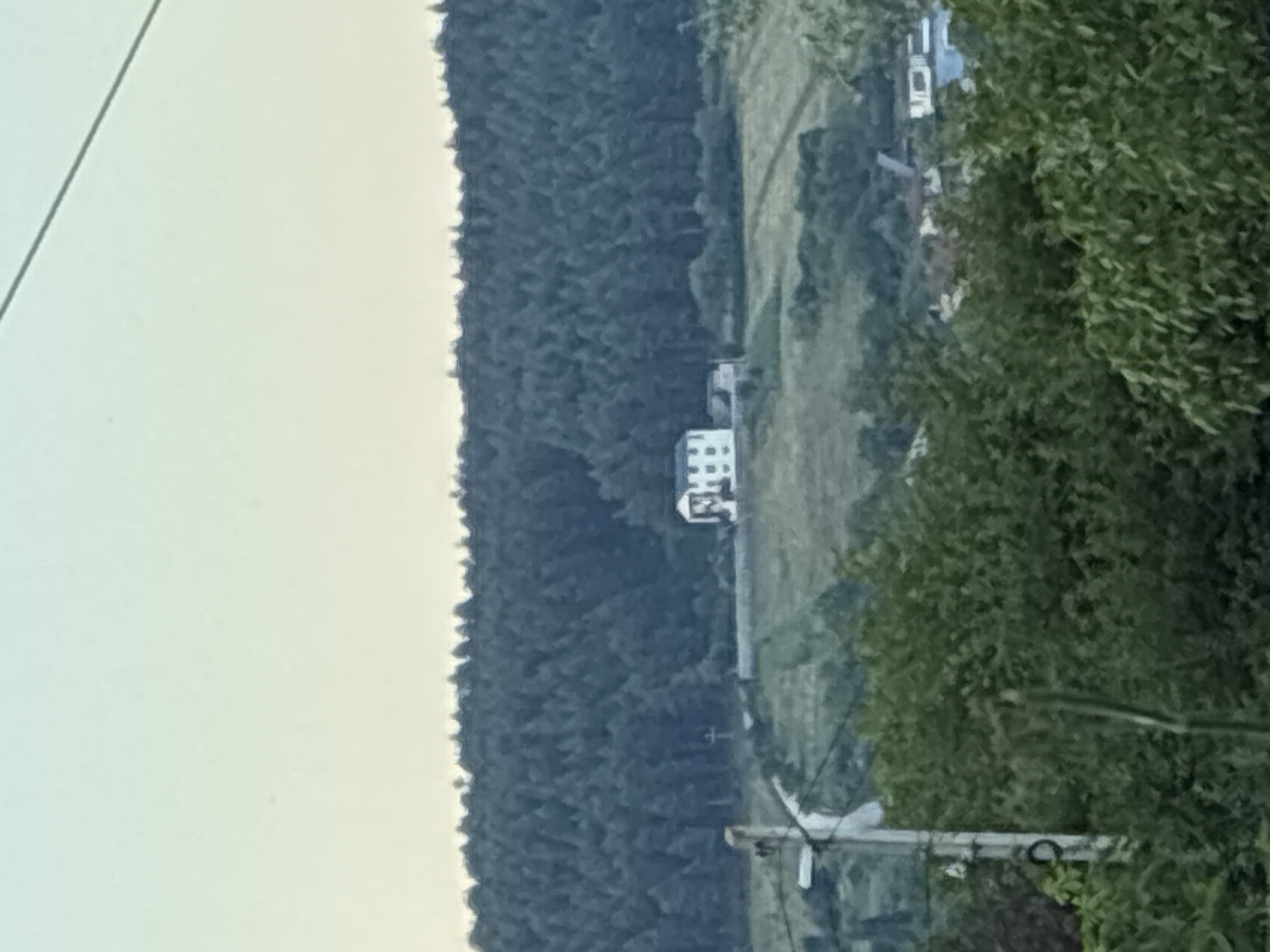 The image depicts a pastoral landscape with a white house situated on a hillside. The house is a two-story structure with a dark roof and several windows visible. It is surrounded by greenery, including trees and bushes, and a patch of mown grass. In the background, a dense forest line stretches across the horizon under a pale sky. A telephone pole with wires is visible in the foreground. The overall impression is one of a rural setting, possibly in or near the city of Surami, Georgia.