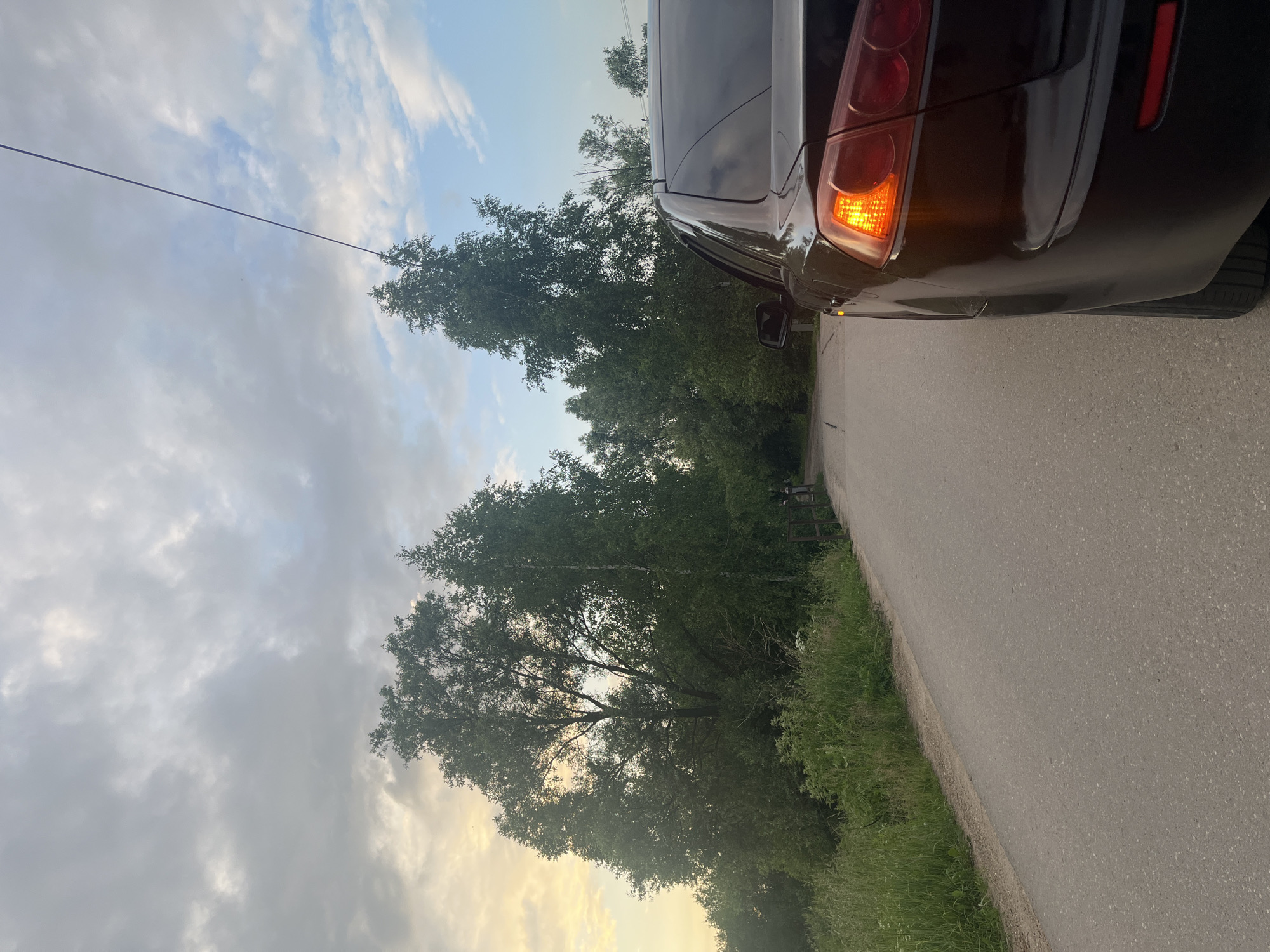 The image depicts a dark-colored car parked on a paved road, with its brake light illuminated. The car is positioned on the right side of the frame, facing away from the viewer. The road appears to be unpaved on the left side, bordered by tall green grass and dense trees. In the background, a line of trees with lush green foliage stretches across the landscape. A power line extends diagonally across the sky from the upper right to the middle left. The sky is overcast with scattered clouds, tinged with the warm hues of sunset on the left side. The overall scene suggests a rural or semi-rural setting. The location is identified as Nikolskoye, Russia.