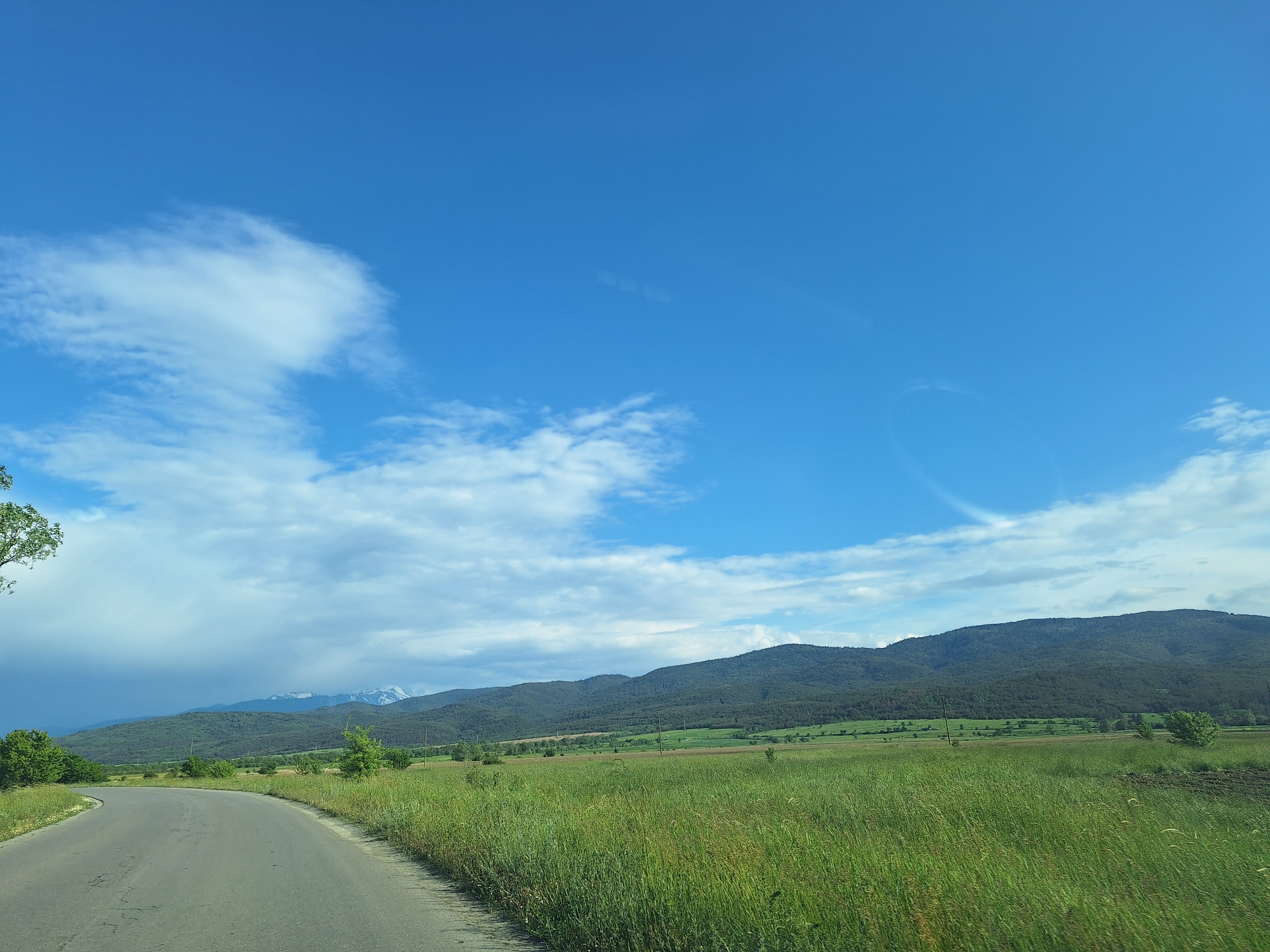 The image depicts a rural landscape in what is likely the Belchinski Bani area of Bulgaria. A paved road curves to the left, with a lush green field extending to the right and a distant mountain range as the backdrop. The sky is predominantly blue, with scattered clouds. There are no people visible in the image. The focus is on the natural scenery. The road and fields suggest human modification of the landscape, but the scene is primarily natural. The mountains appear to be forested. The location's exact boundaries are uncertain given the limited field of view.