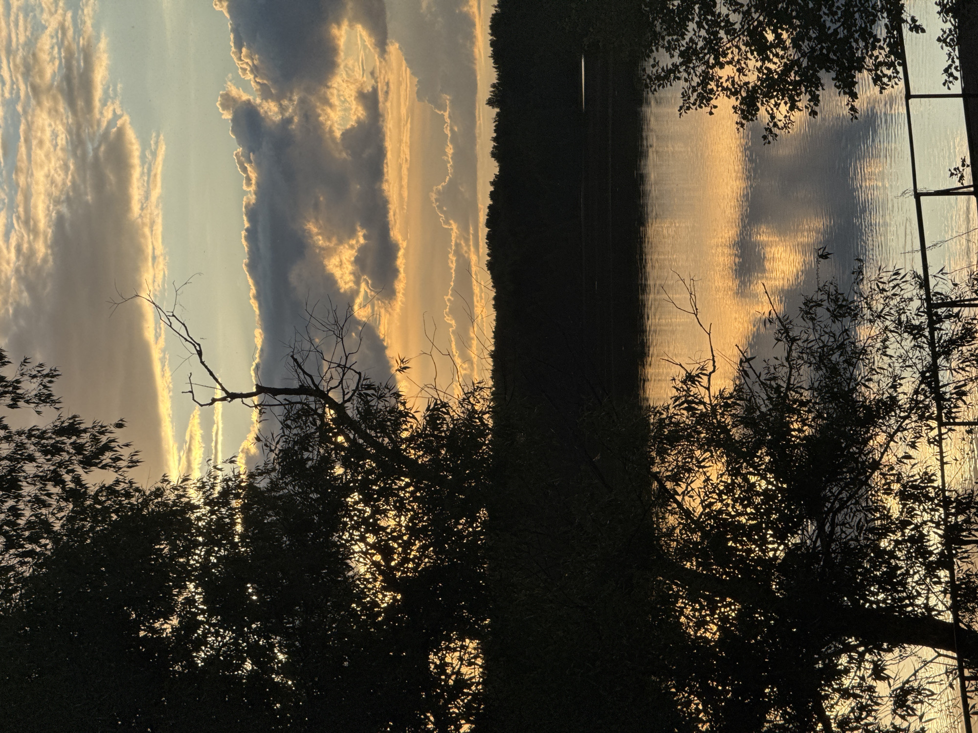 The image displays a serene natural landscape at either sunrise or sunset, characterized by warm, golden light. The upper half of the frame is dominated by a dramatic sky filled with large cumulus clouds. Golden light bathes the edges of some clouds, creating a vibrant contrast against darker, more shadowed formations. Faint, linear cloud trails or contrails are visible in the lighter parts of the sky.
Below the sky, a body of water, likely a lake or wide river, stretches across the mid-ground. The water's surface beautifully reflects the colors of the sky, mirroring the golden light and cloud patterns, while gentle ripples add texture to the reflections. A dense, dark line of trees or vegetation forms the distant bank, creating a strong silhouette against the bright sky and its reflection.
In the foreground, silhouetted trees and branches frame the bottom and sides of the scene. The low angle of the sun casts these elements in deep shadow, with occasional bright specks of light filtering through the leaves. Some branches are bare, while others show clusters of foliage. On the far right, a faint vertical structure, possibly a ladder or part of a small dock, extends into the water. The scene evokes a tranquil and contemplative mood. No visible text is present. The location provided is Kamysh, Russia.