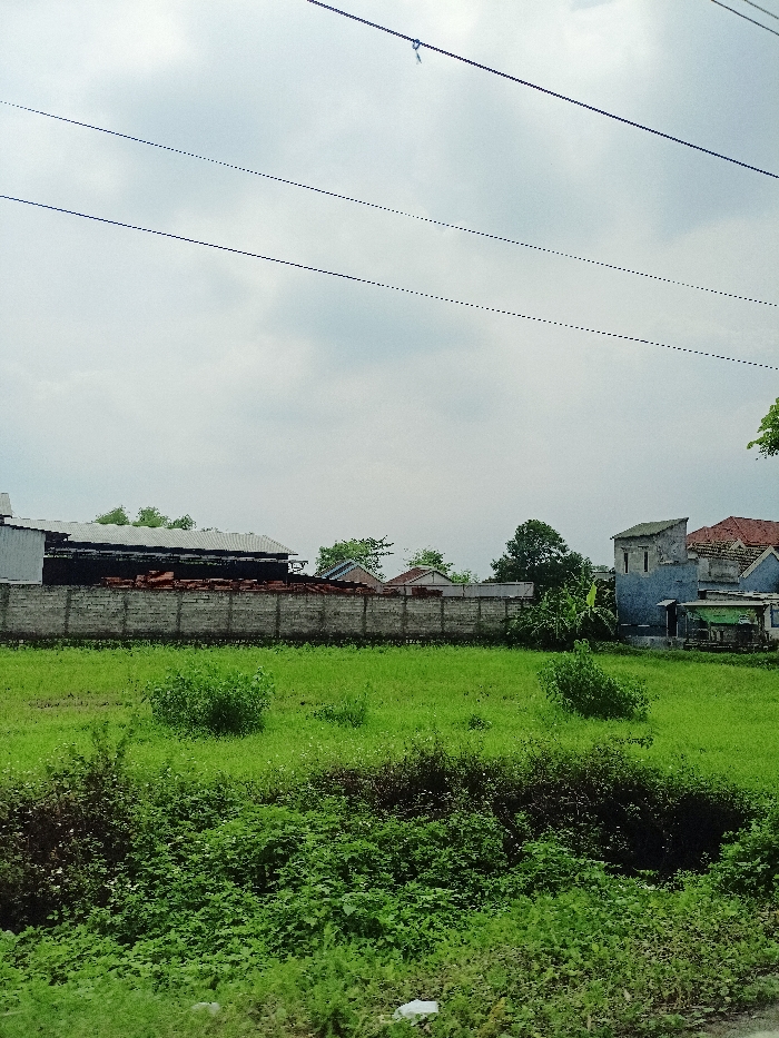 The image displays a daytime landscape scene in what appears to be a semi-rural or developing area, consistent with the location context of Ngoro, Indonesia. The sky is overcast or partly cloudy, providing diffused lighting without harsh shadows.

In the foreground, a large, vibrant green field fills the lower half of the frame, covered in lush grass and various wild green bushes and plants. Denser, darker foliage is visible in the immediate bottom foreground.

A low concrete block fence stretches across the middle ground, acting as a boundary. Behind this fence, to the left, a substantial stack of red bricks is visible, suggesting construction or material storage. Further behind the bricks stands an industrial-looking building with a dark, corrugated metal roof.

To the right of the fence, several houses are visible. One prominent dwelling is a light blue-painted house with a distinctive tall, narrow section. Adjacent to it is a small, somewhat dilapidated green shack or stall with a corrugated roof. Other residential structures with reddish-brown tiled roofs are partially visible further in the background, interspersed with trees.

The upper portion of the image is dominated by the cloudy sky. Three dark power lines run horizontally across the top third of the frame, with a small, light-colored object or insulator visible on the topmost line towards the right.

There are no people visible, nor is there any discernible text within the image. The scene is static, depicting a blend of natural greenery and man-made structures.